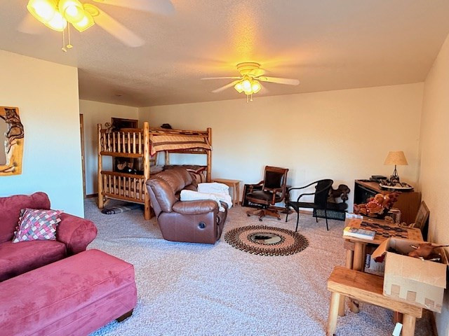 745 Buck Ridge Drive, Murphy, NC 28906 Listing Photo  24