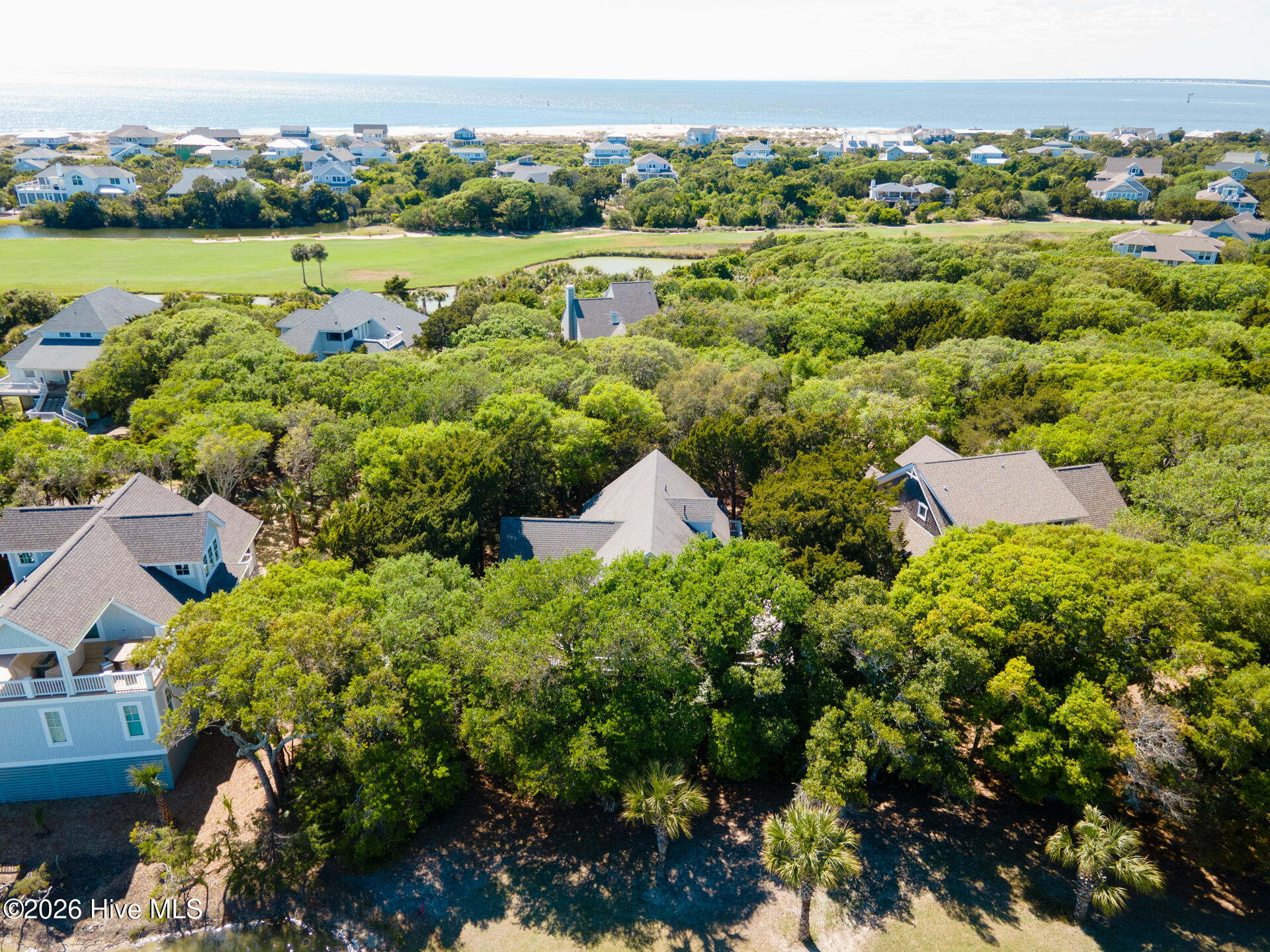 100569244 | Photo 49