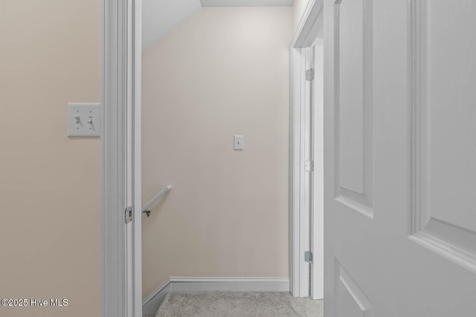 100512903 | Photo 45