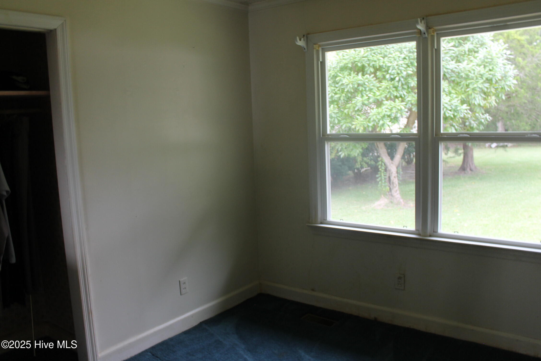 100535737 | Photo 21