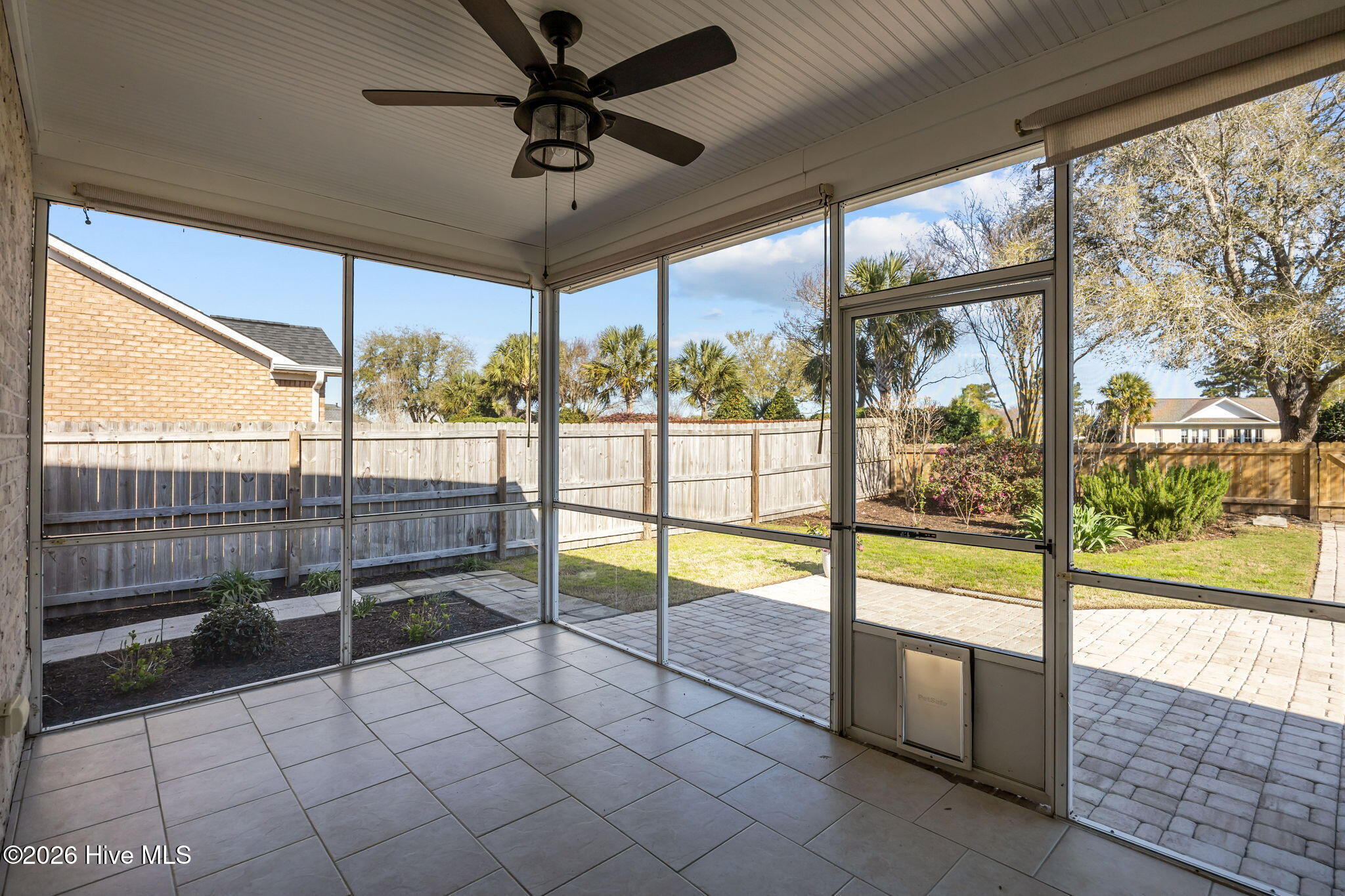 100561261 | Photo 50