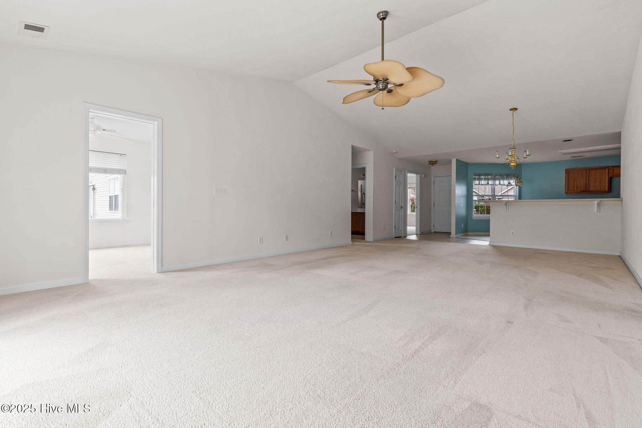 100536152 | Photo 37