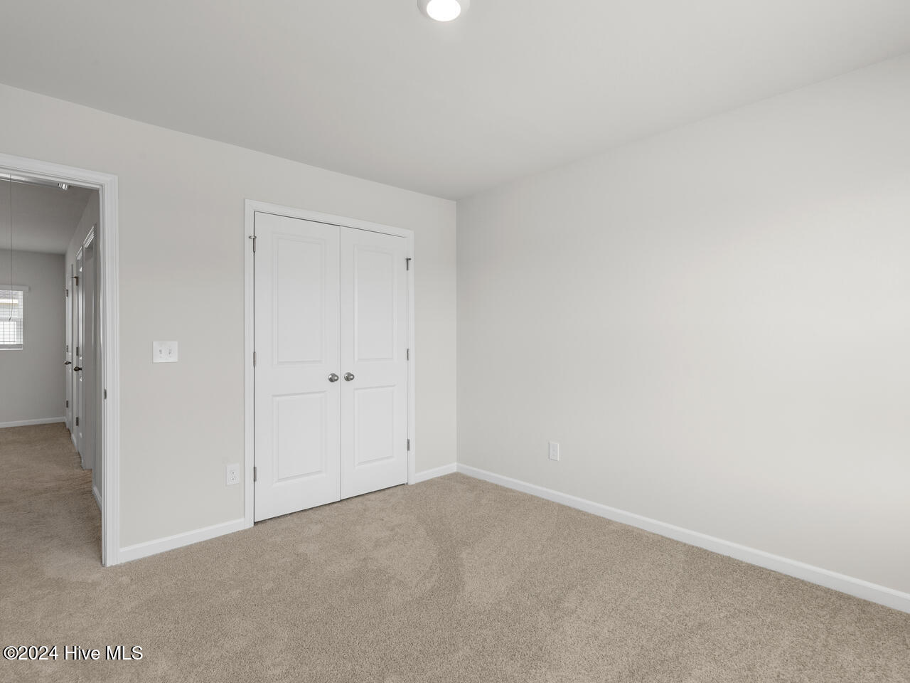 100536784 | Photo 29