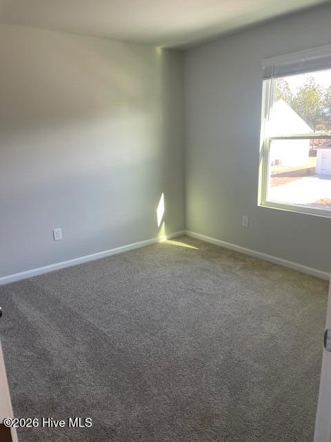 100562867 | Photo 14