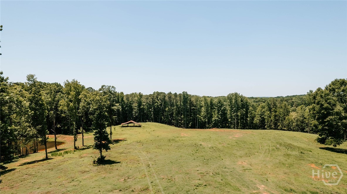 0 Mitchell Farm, Colbert, Georgia, 0 ,Agriculture,For sale,Mitchell Farm,CL358024 0 Mitchell Farm, Colbert, Georgia, 0 ,Agriculture,For sale,Mitchell Farm,CL358024