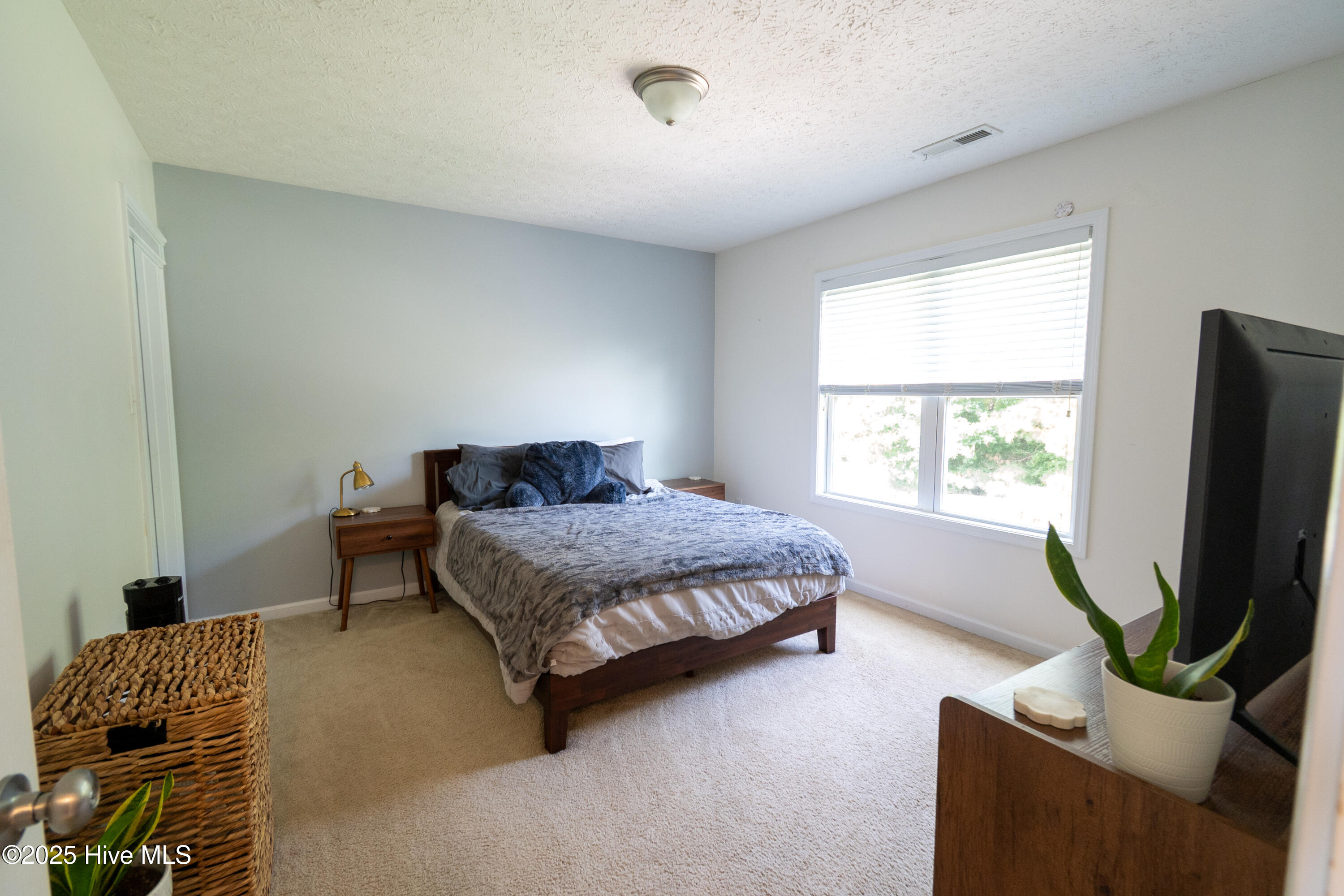 100528578 | Photo 24