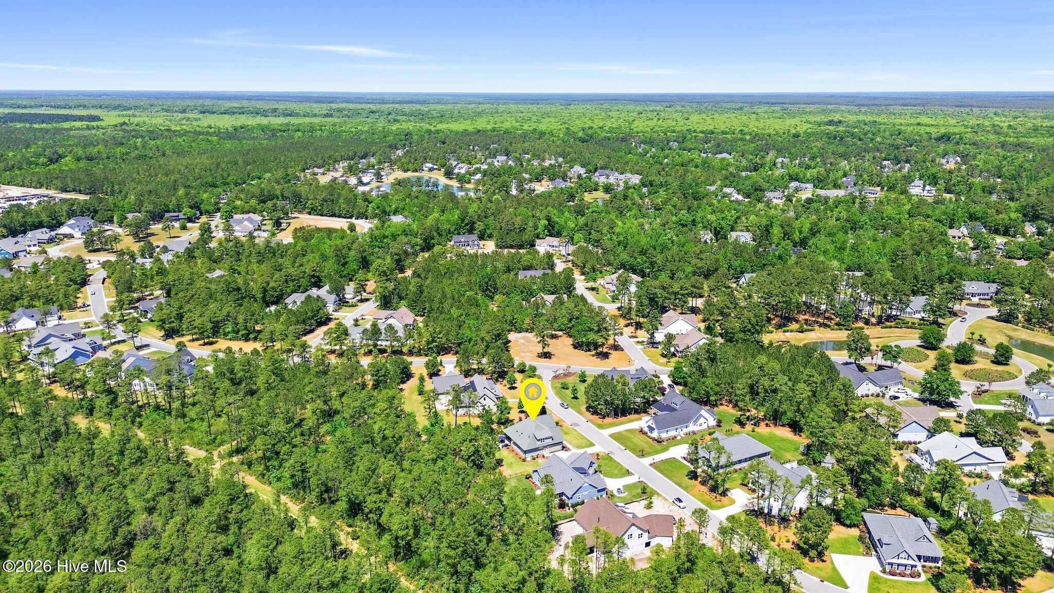 100569004 | Photo 89