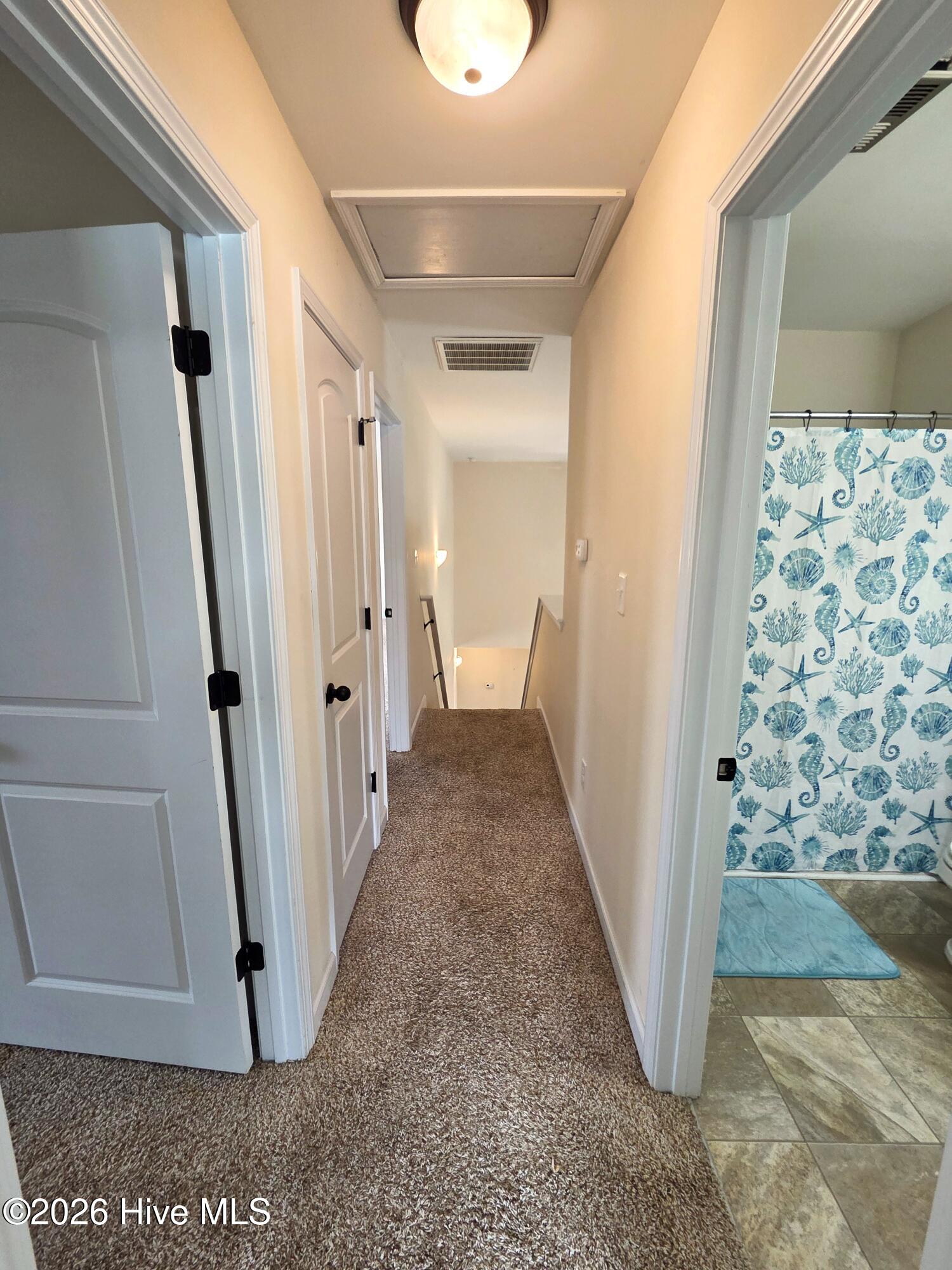 100527843 | Photo 46