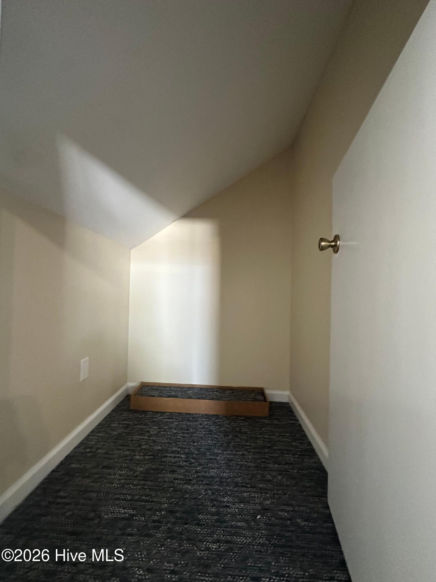 100564152 | Photo 34