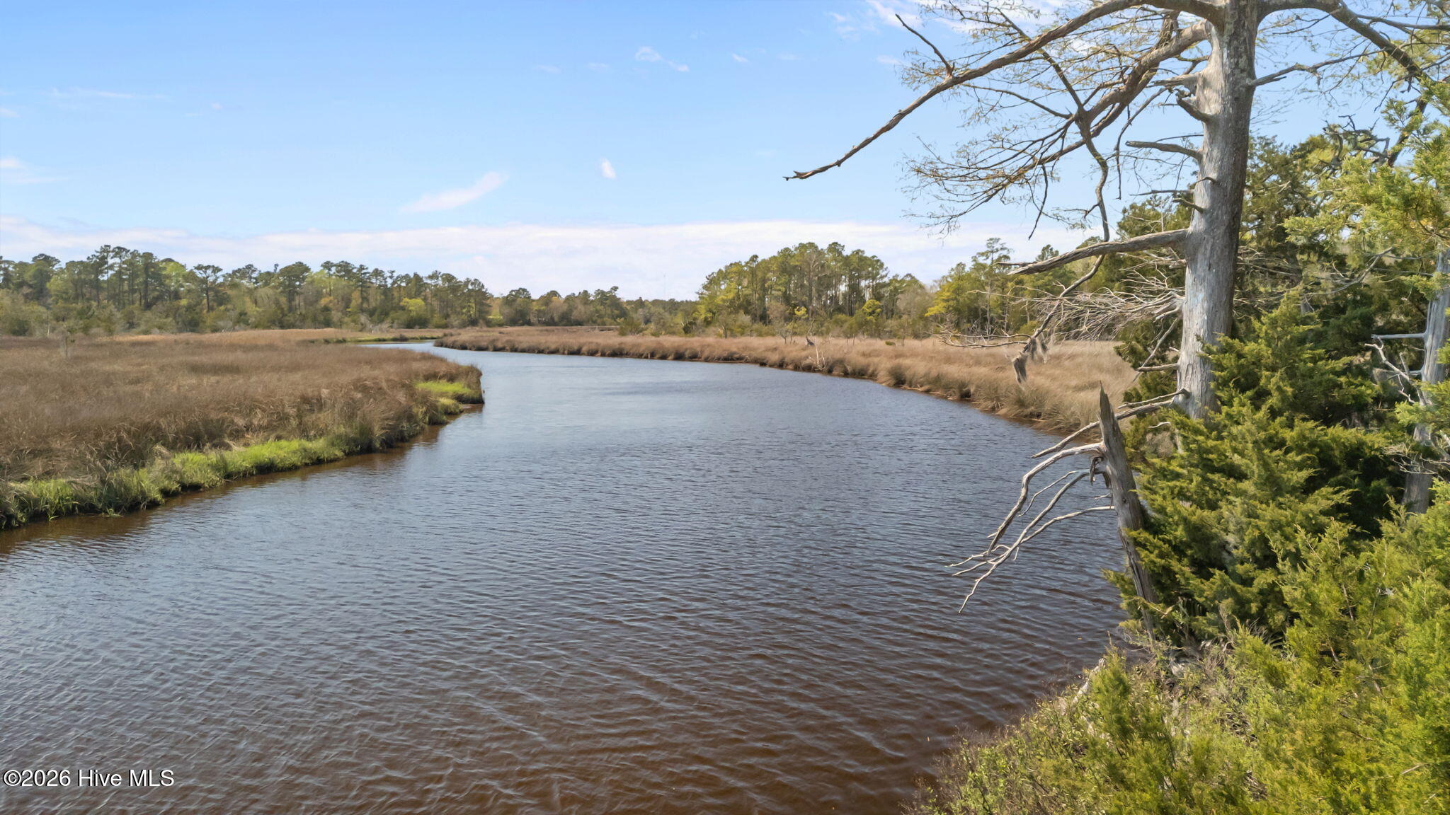 100567826 | Photo 27