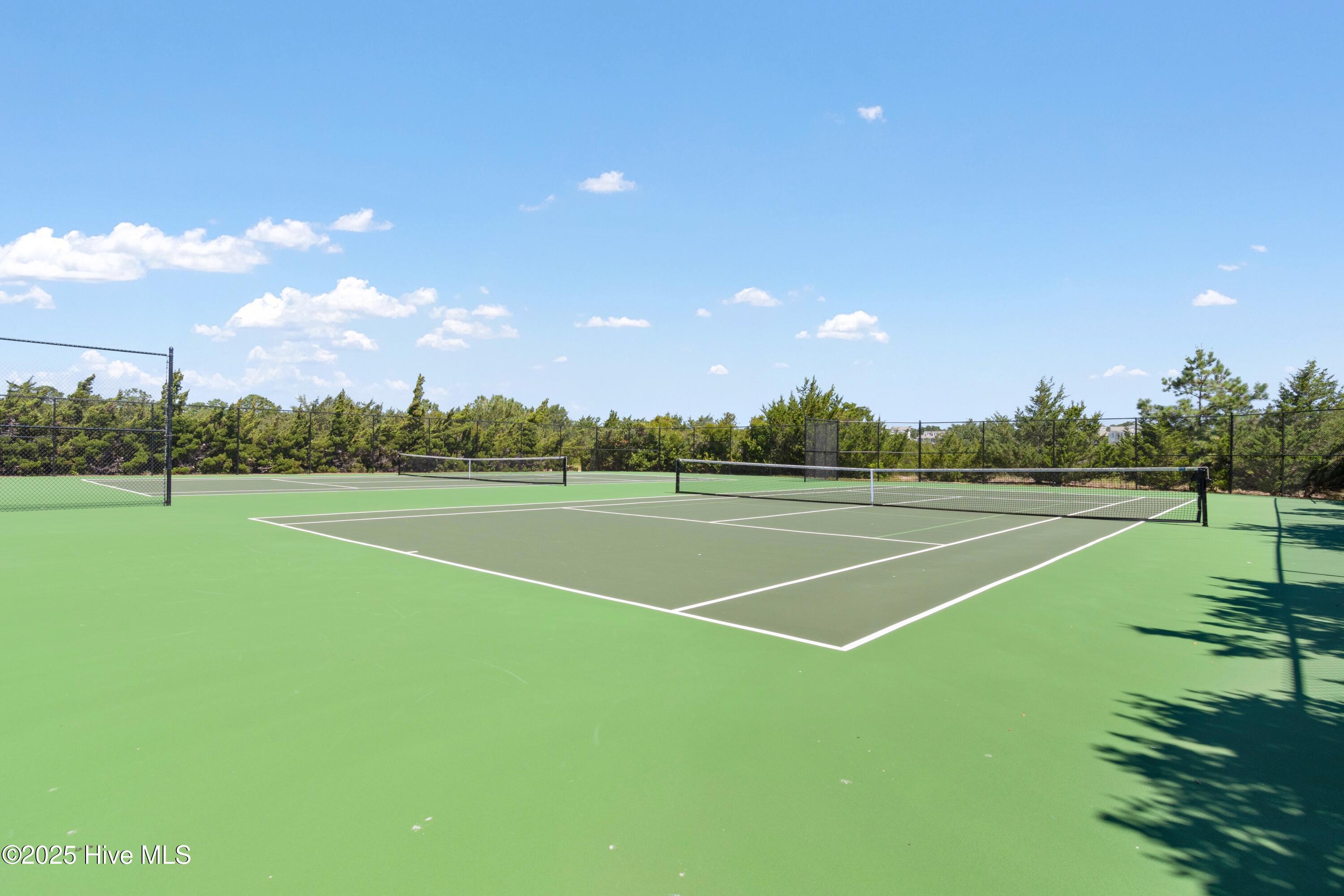 100536702 | Photo 155