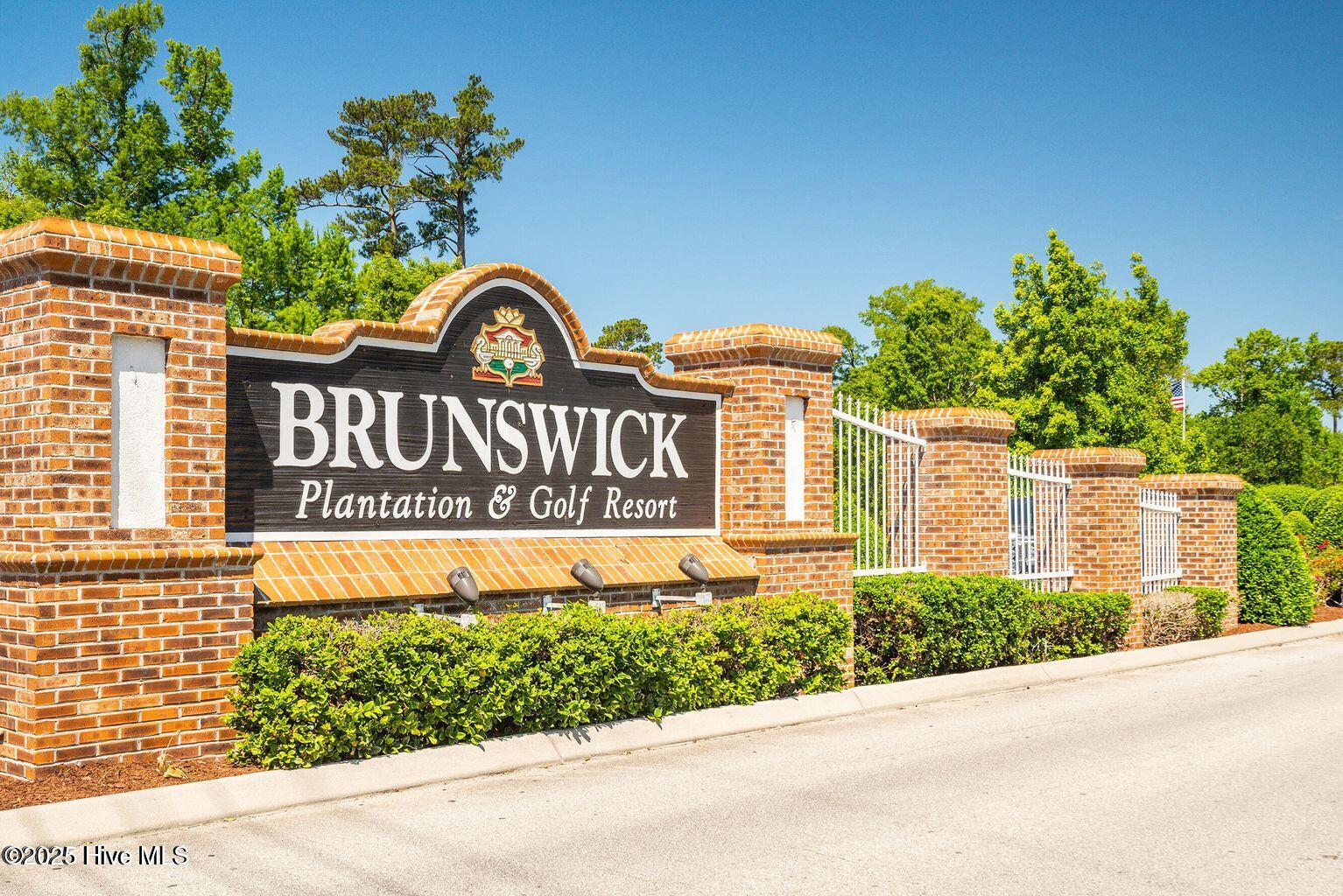 100538275 | Photo 12