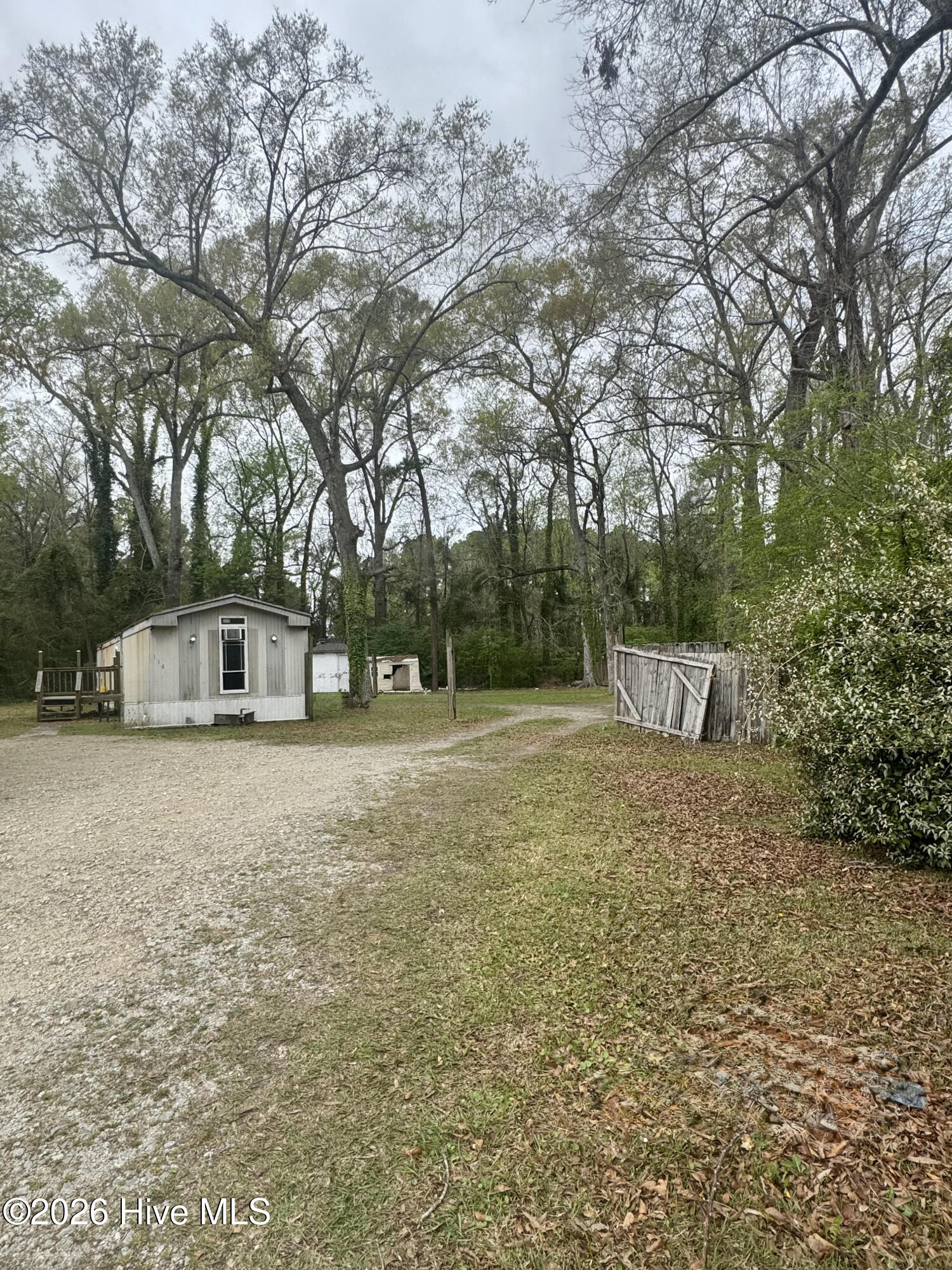 100562045 | Photo 14