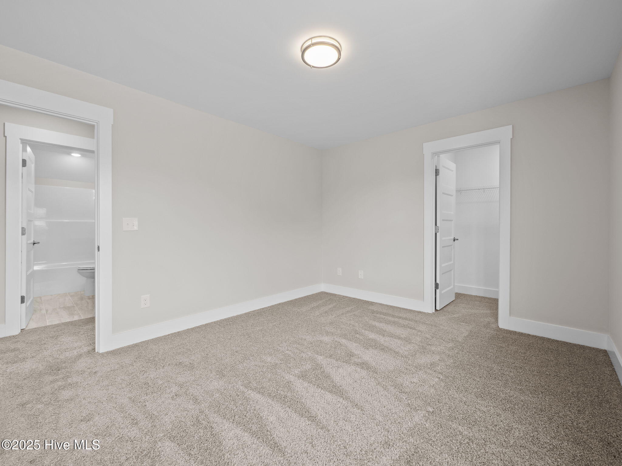 100520397 | Photo 31