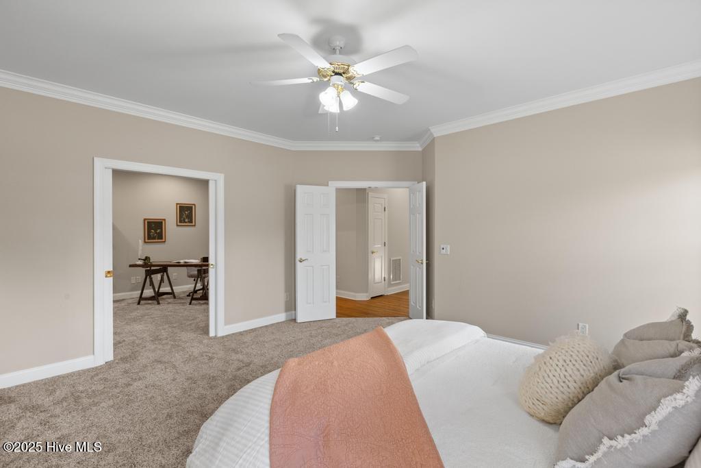 100516339 | Photo 33