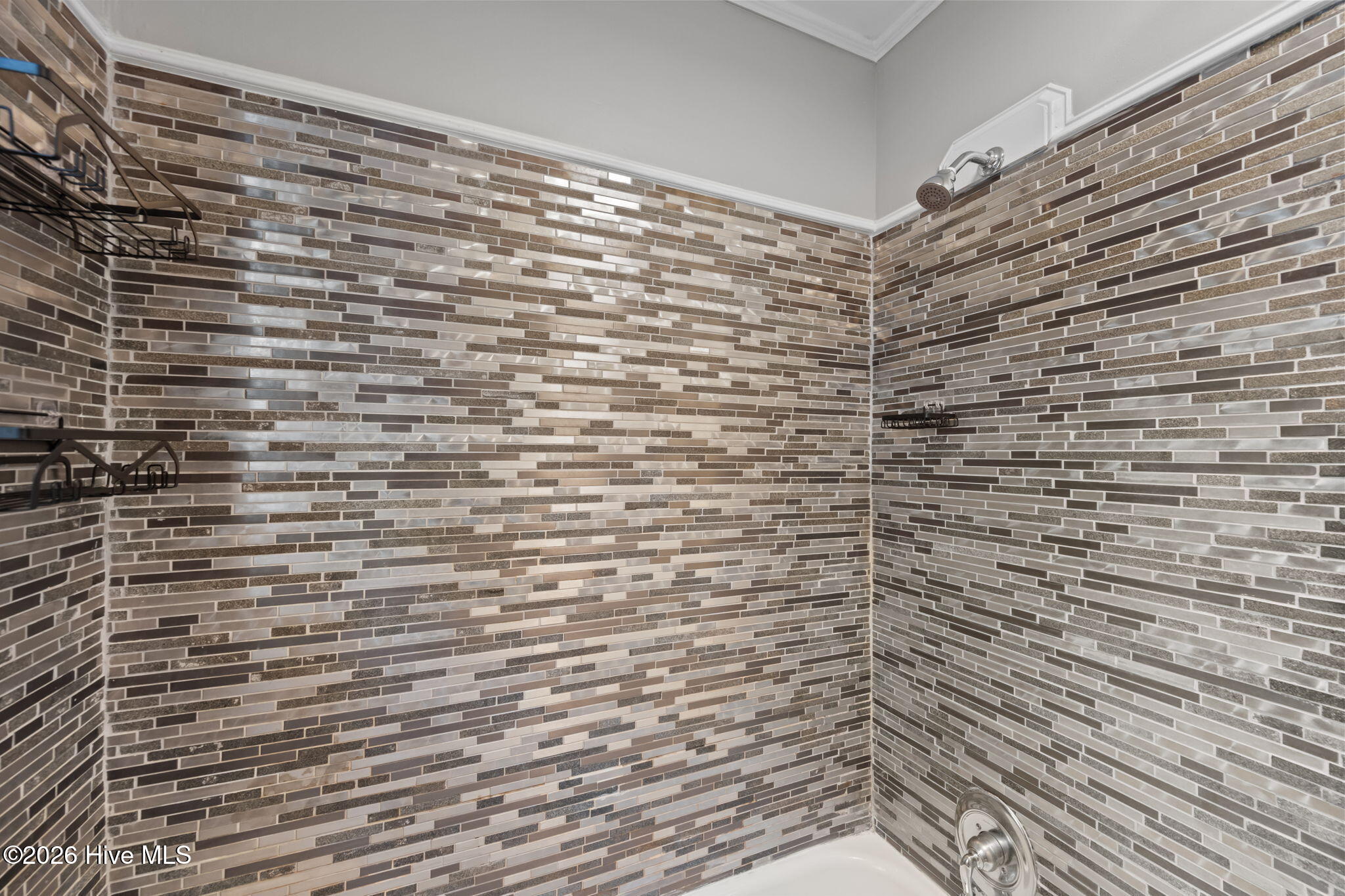 100555981 | Photo 18