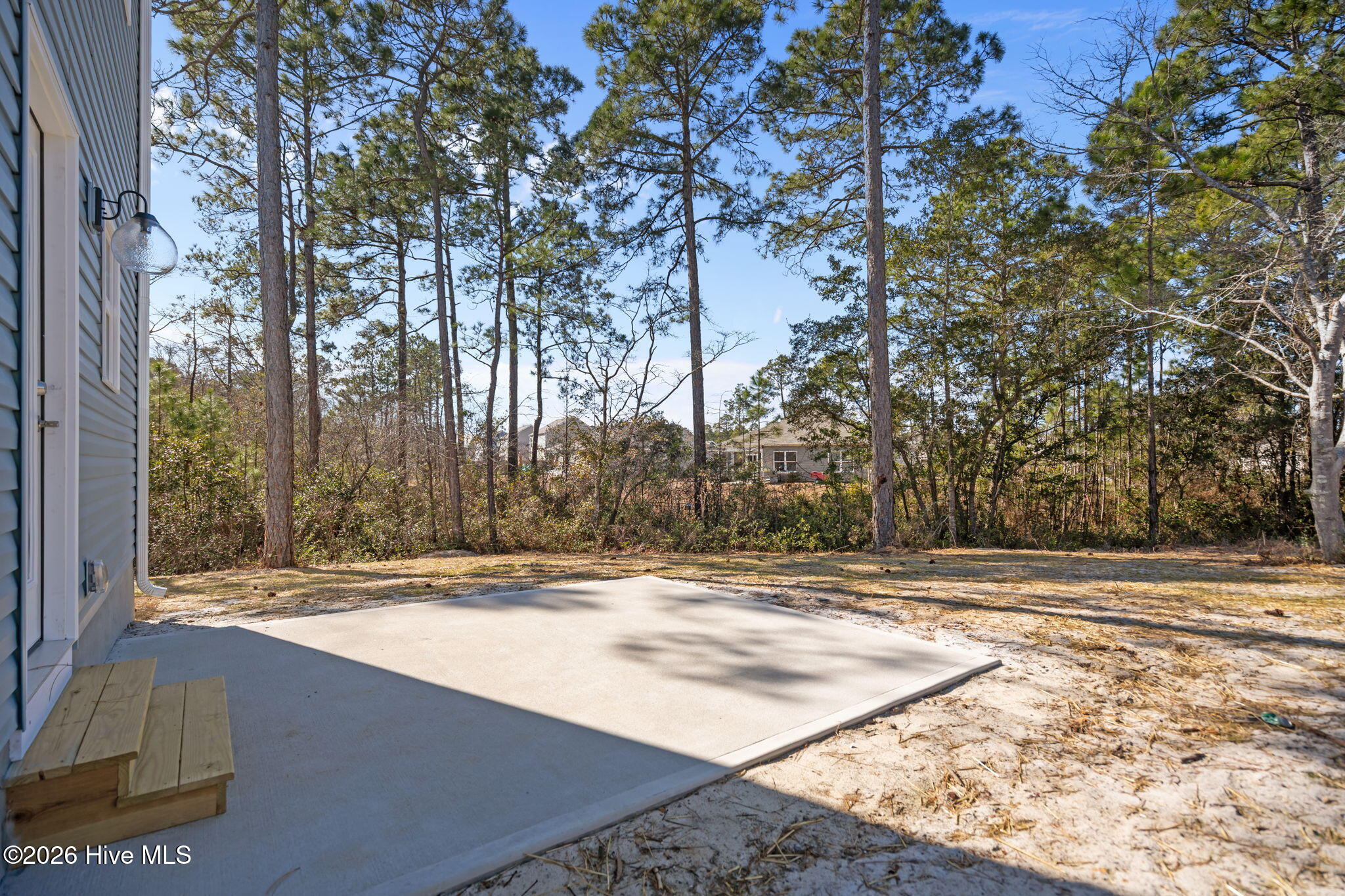 100528702 | Photo 46