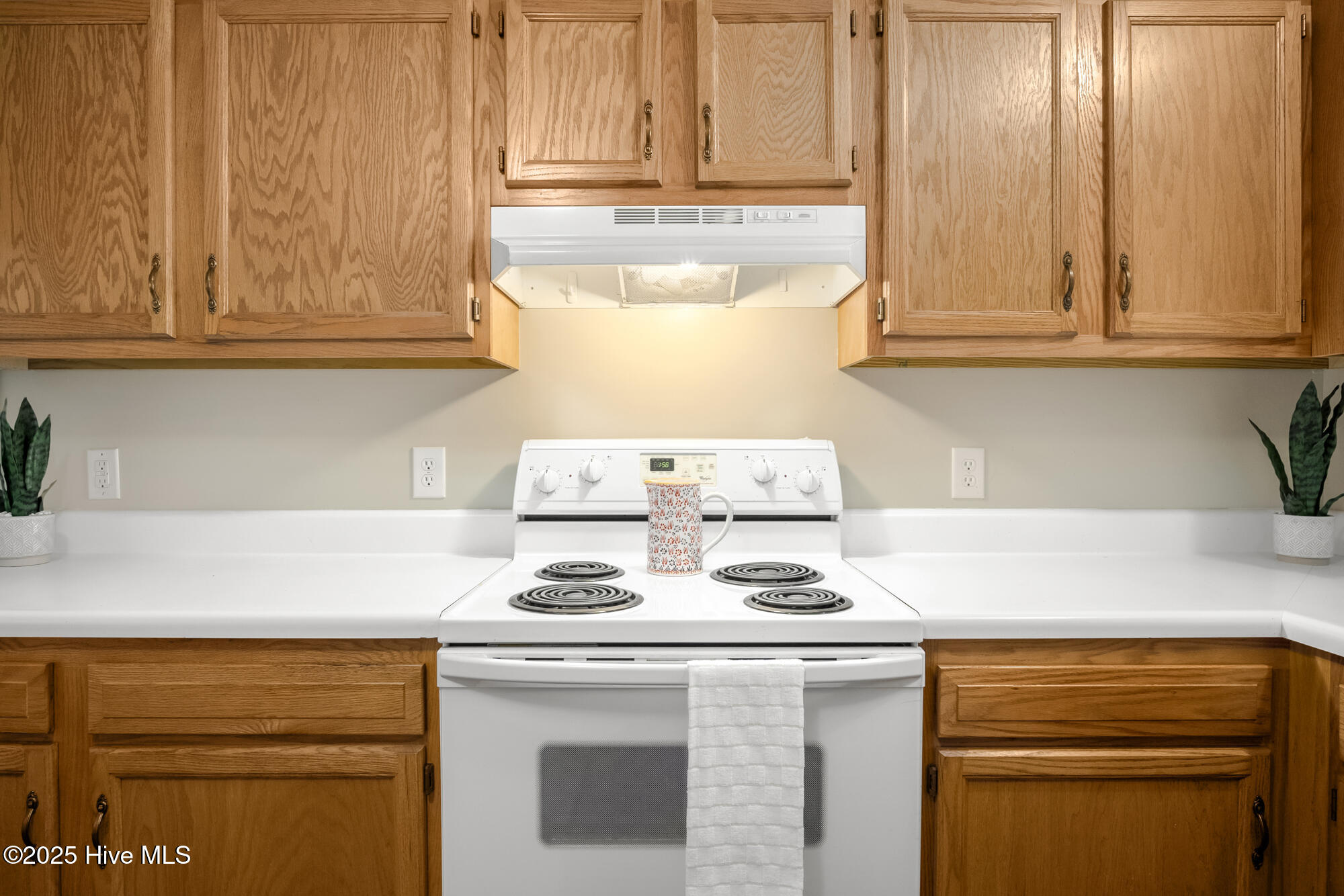 100546493 | Photo 14