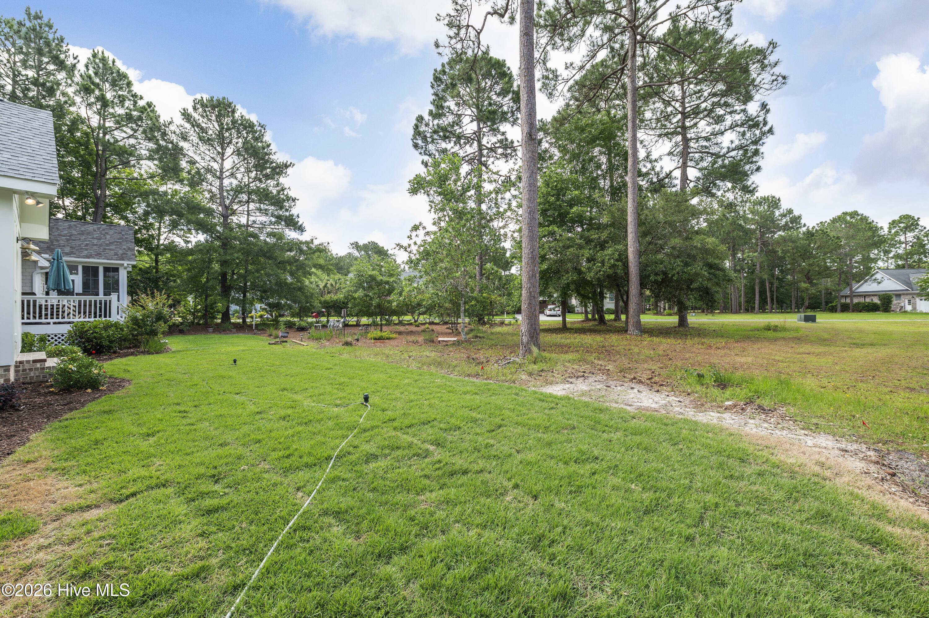 100553830 | Photo 51