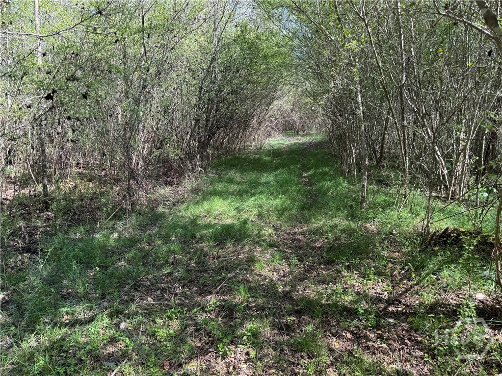 738 Old Mineral Springs Road, Elberton, GA, 30635