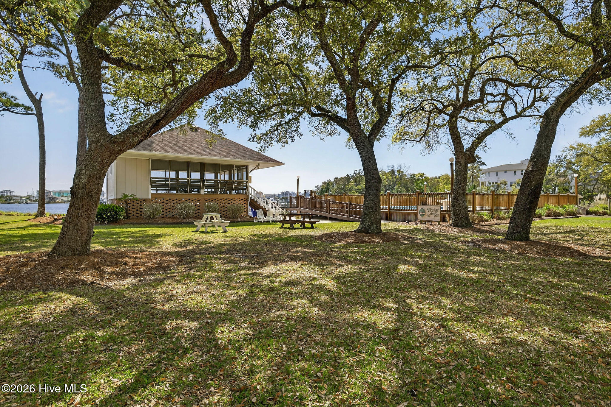 100564348 | Photo 54