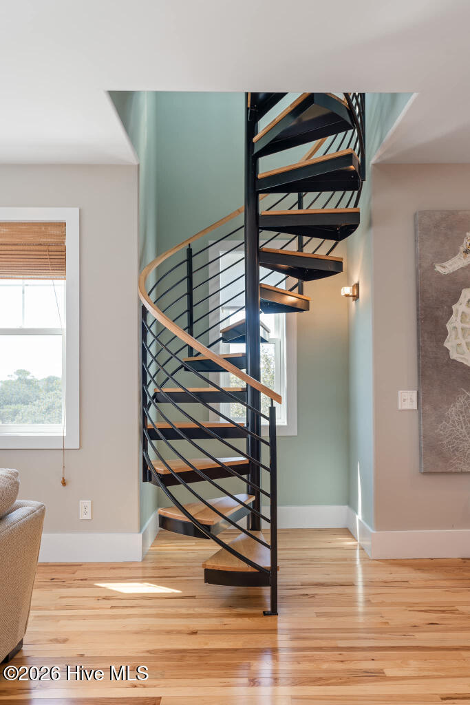 100509824 | Photo 28