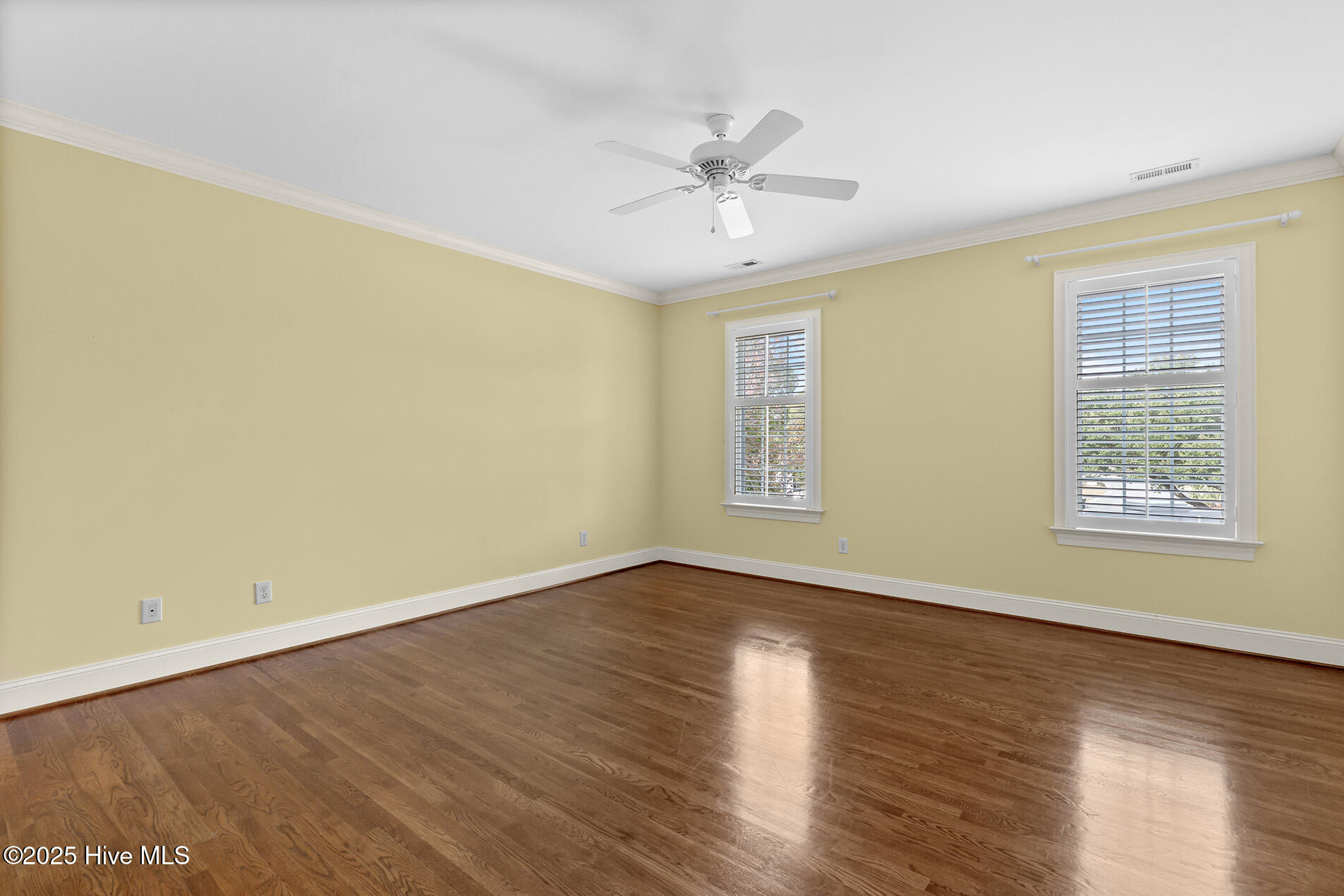 100545737 | Photo 50