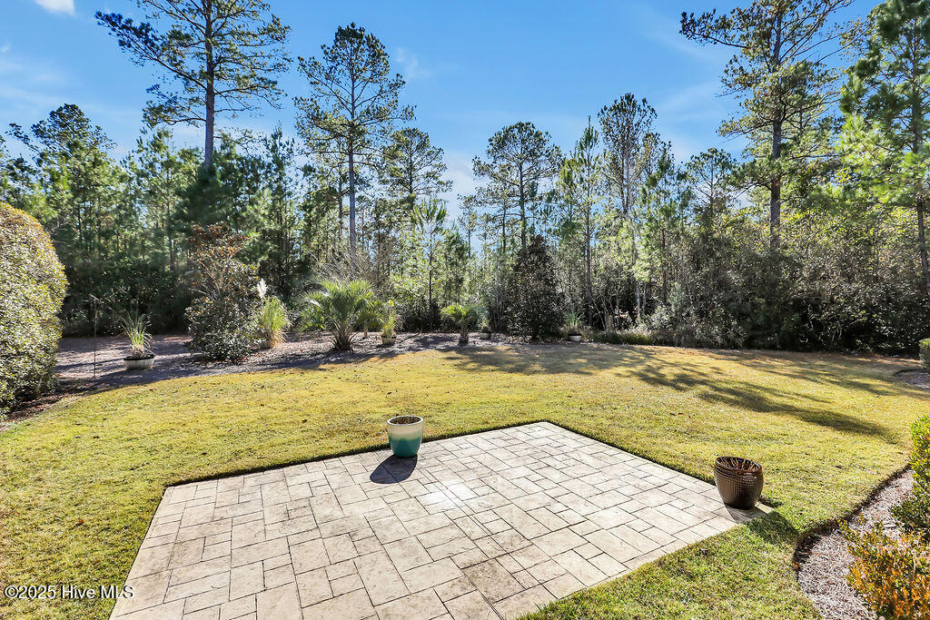 100545215 | Photo 42