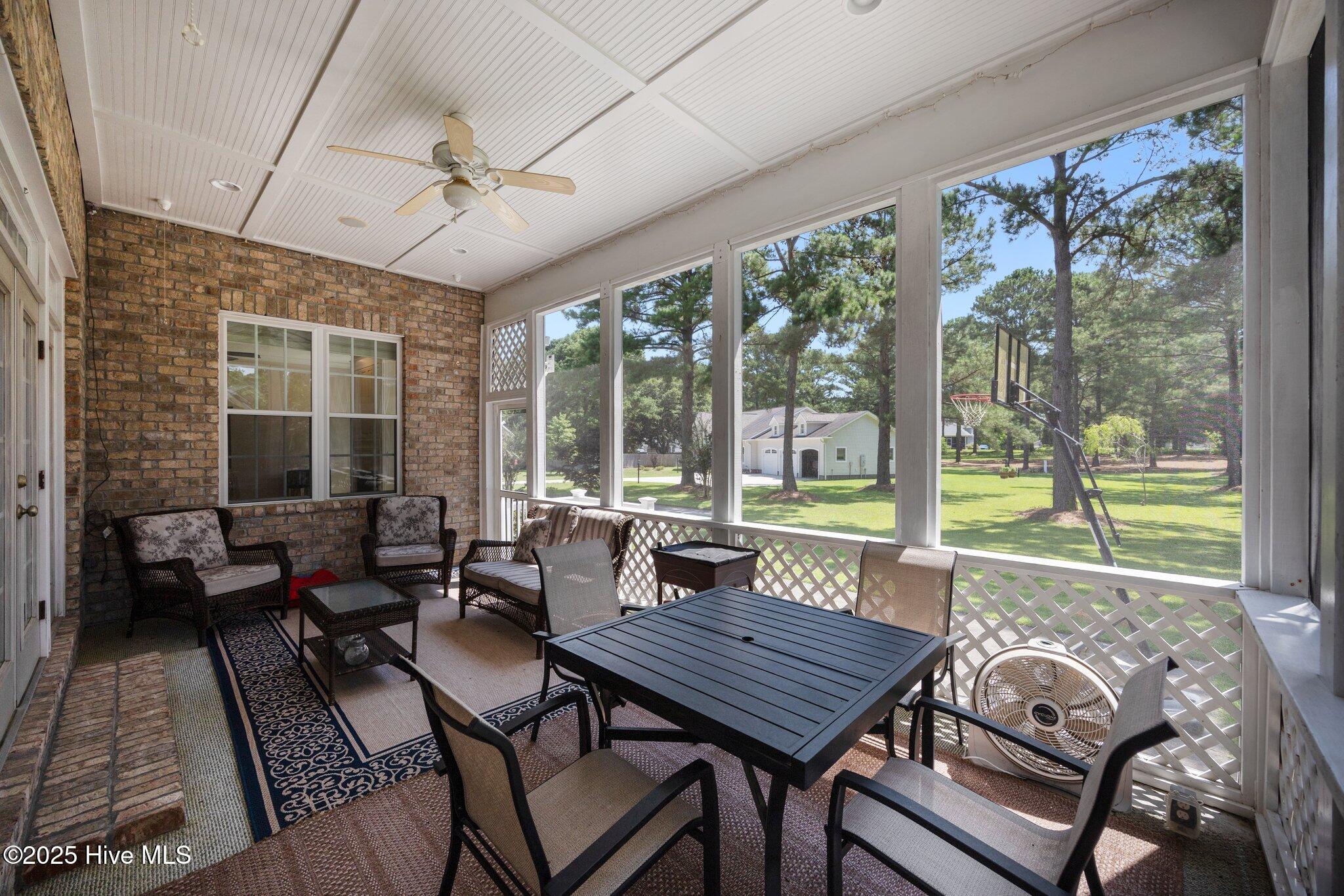 100516018 | Photo 50