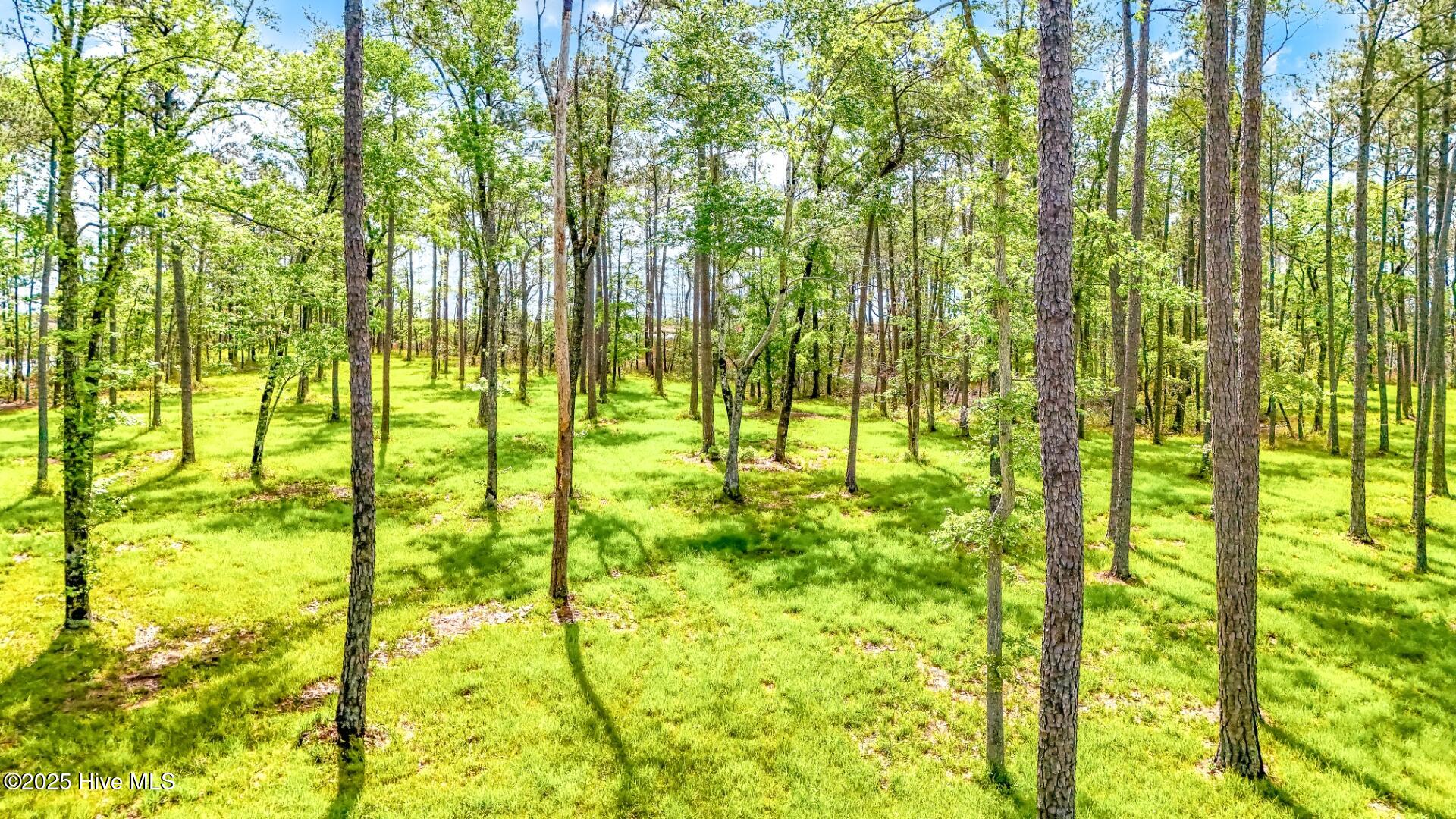 175 River Watch Road, Oriental, NC, 28571