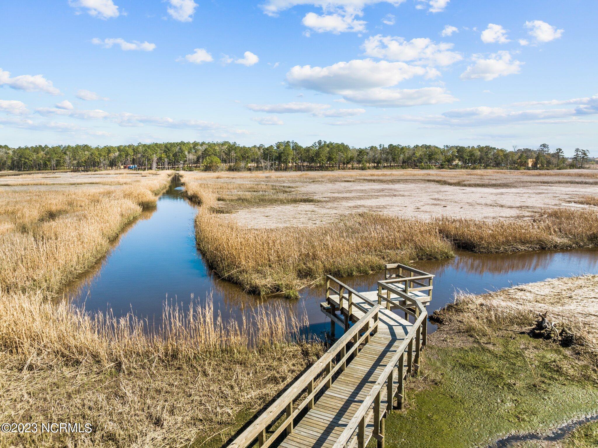 228 Preservation Point Avenue, Wilmington, NC, 28401