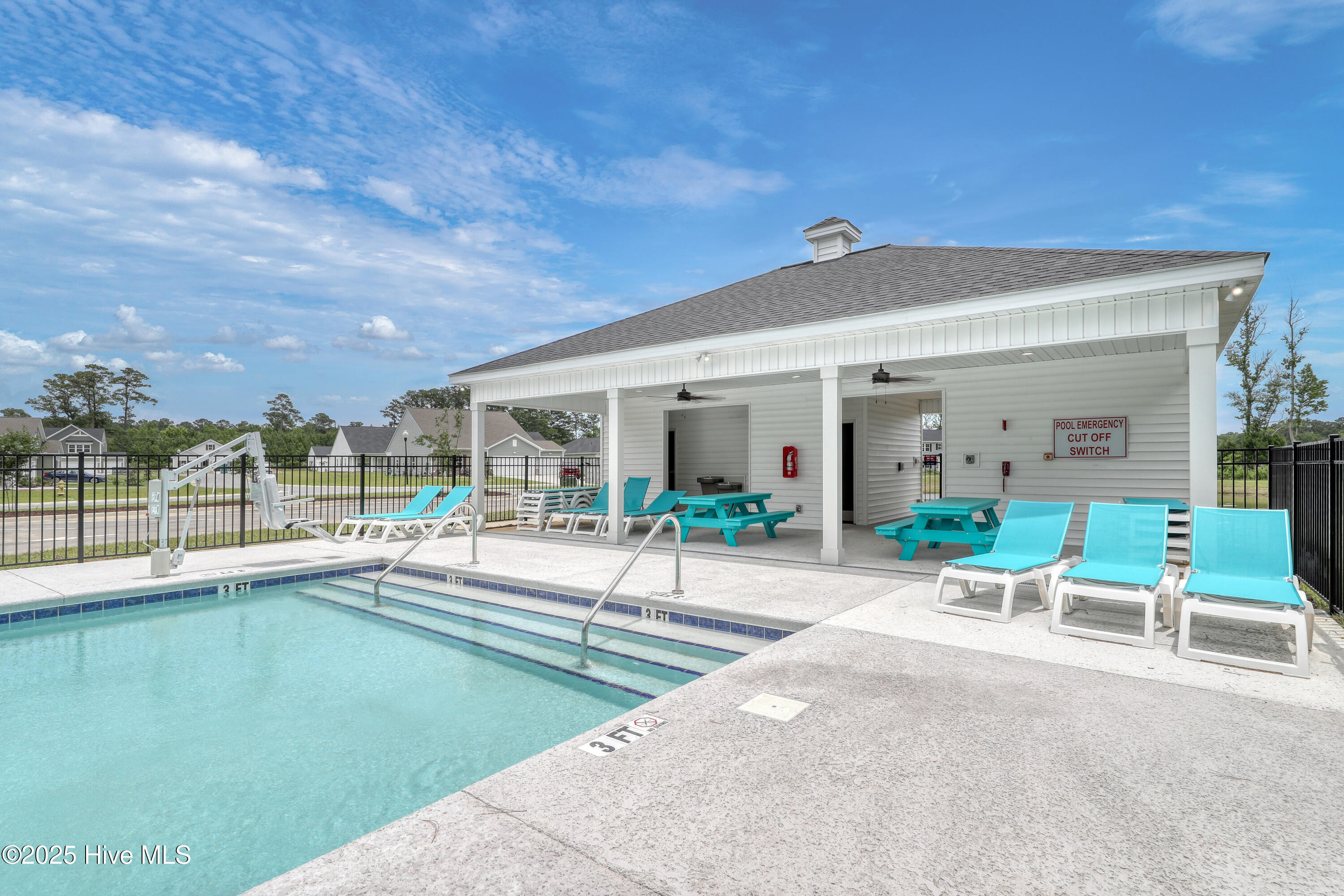 100554167 | Photo 19