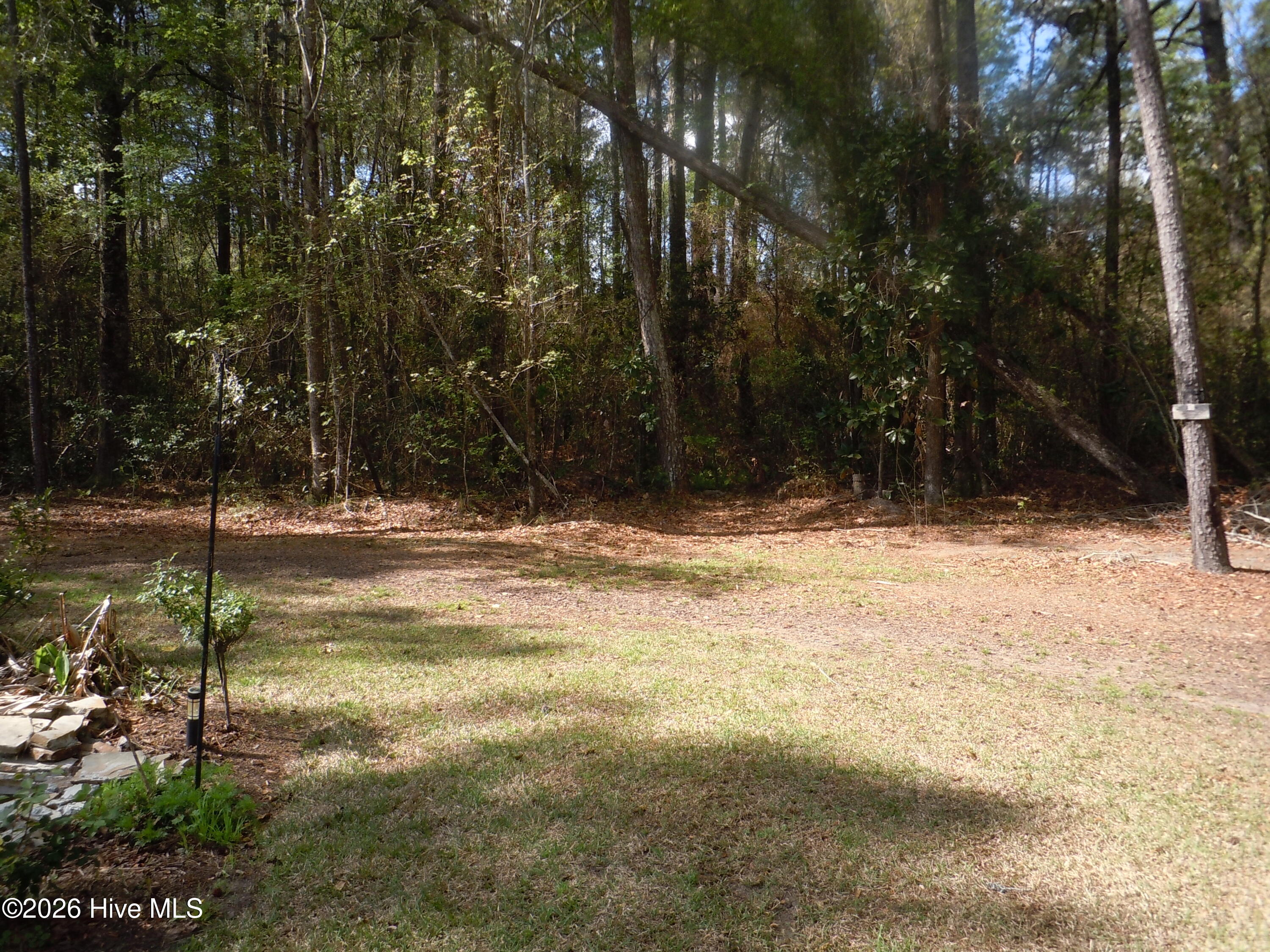 100565129 | Photo 98