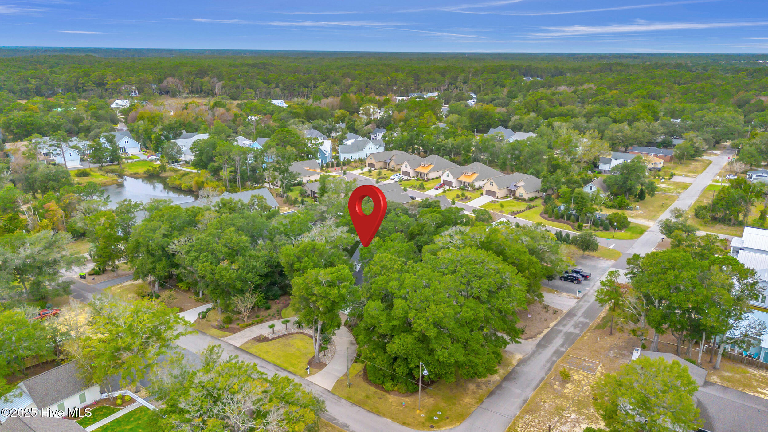 100537749 | Photo 57