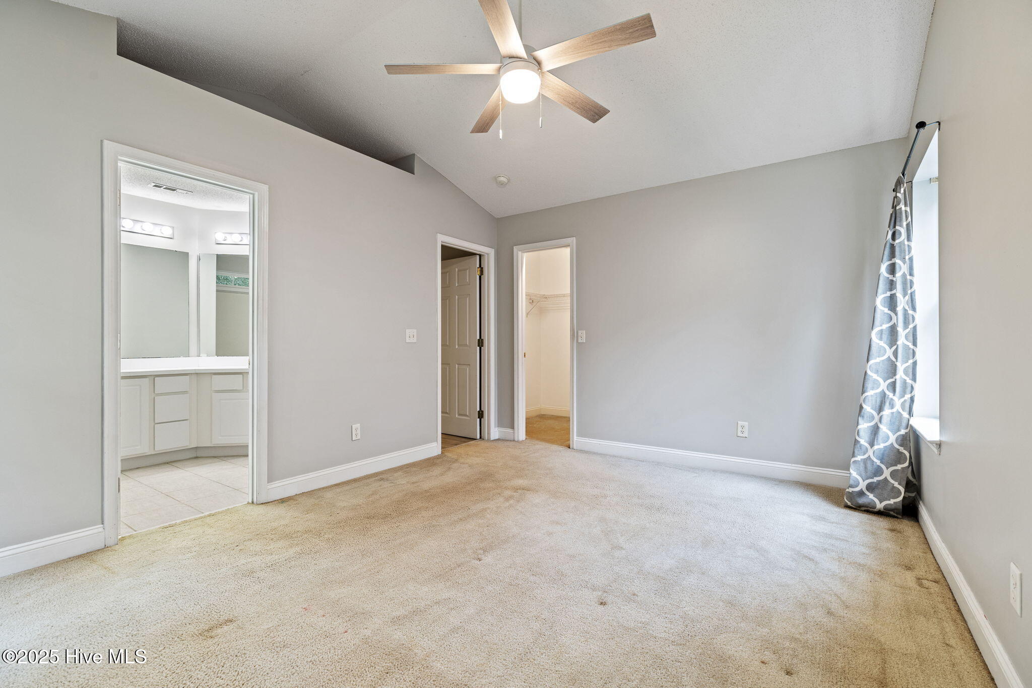 100531614 | Photo 19