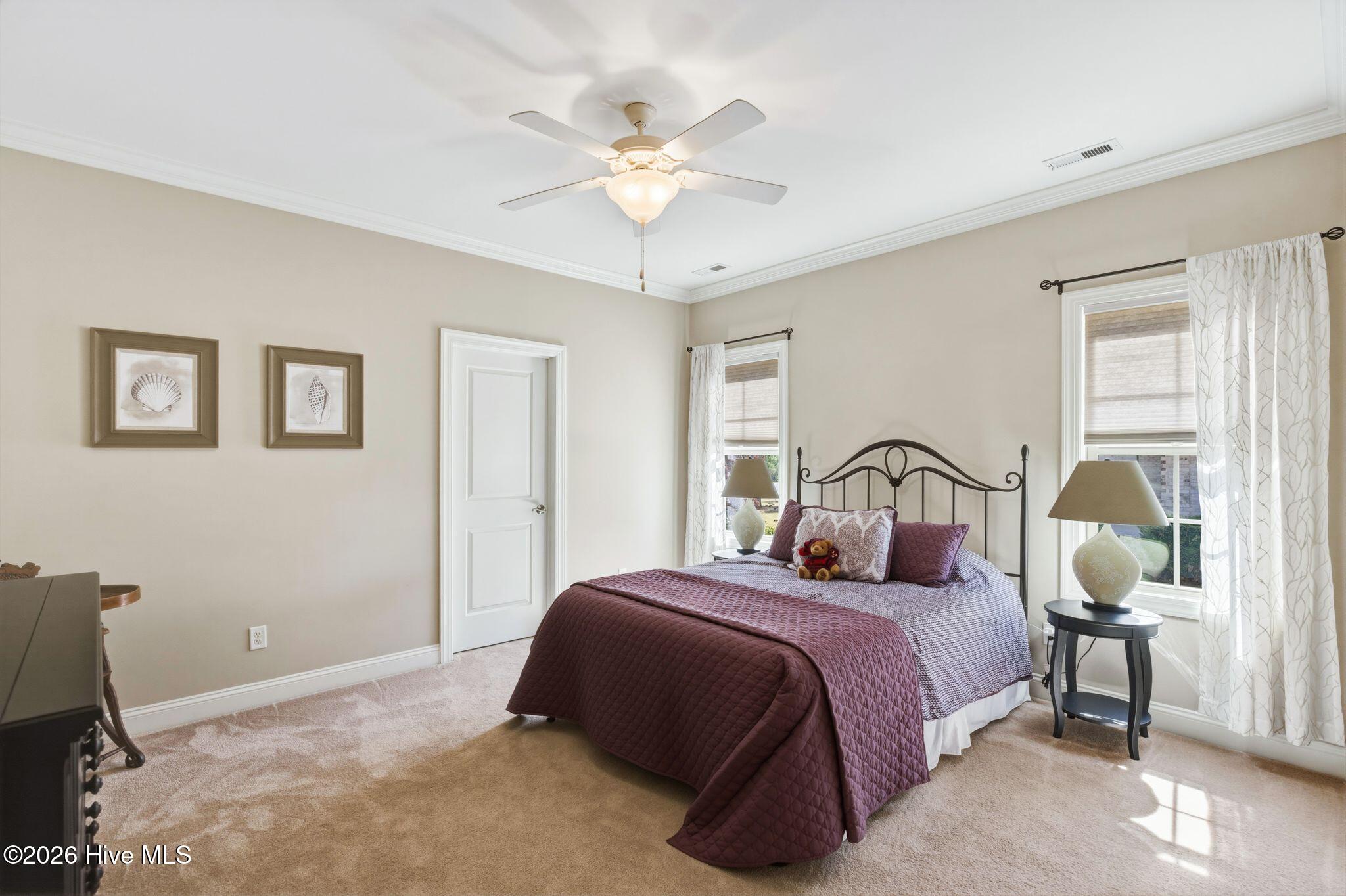 100564432 | Photo 32