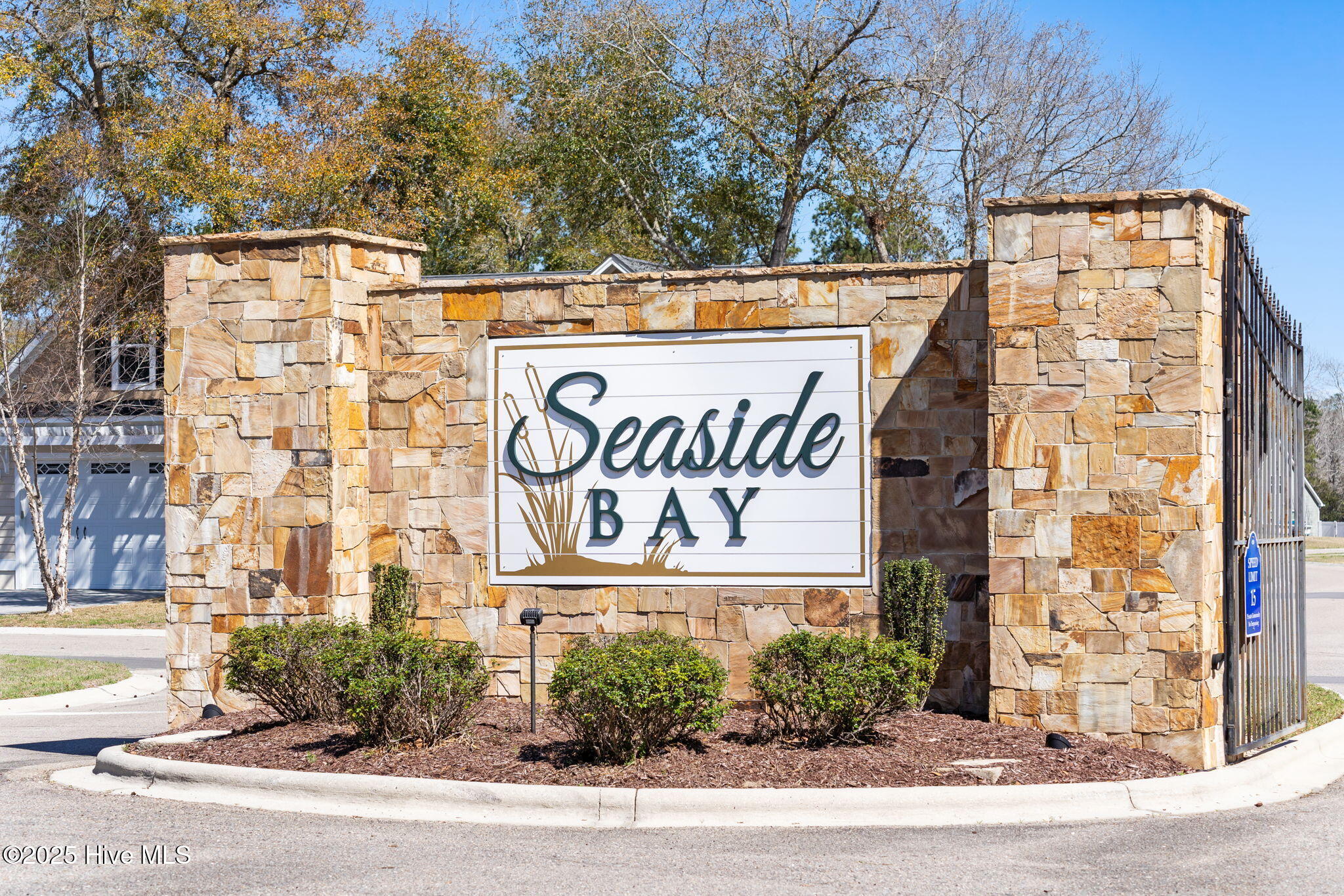 100546353 | Photo 14