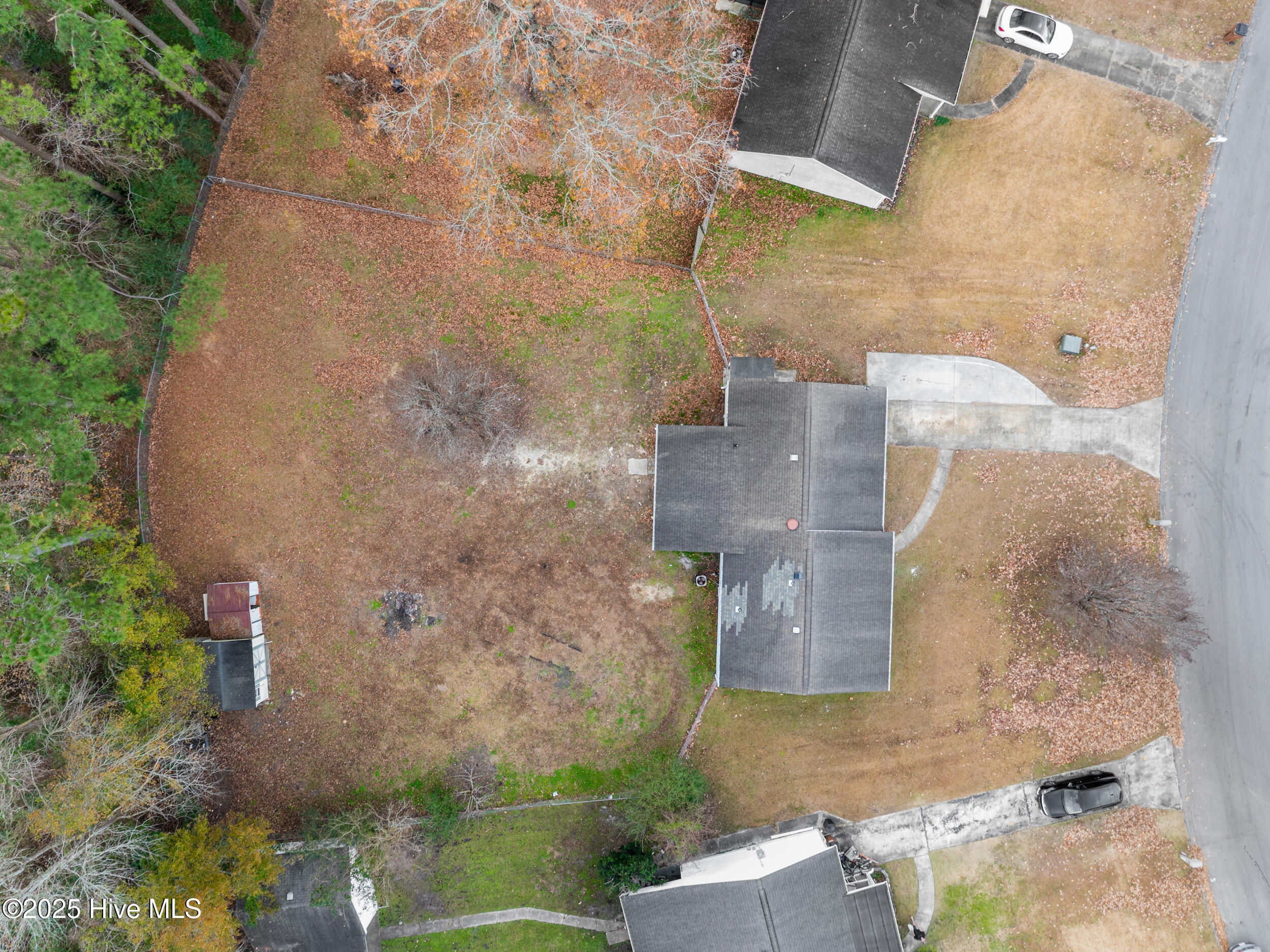 100546009 | Photo 55