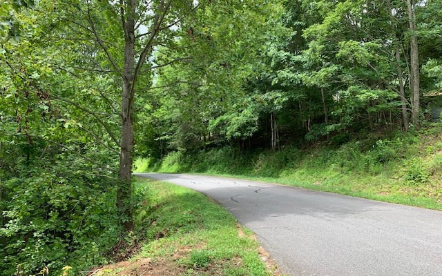 Exterior photo of Lot 50 A Eagles View, Hayesville, NC 28904. MLS: 98524934