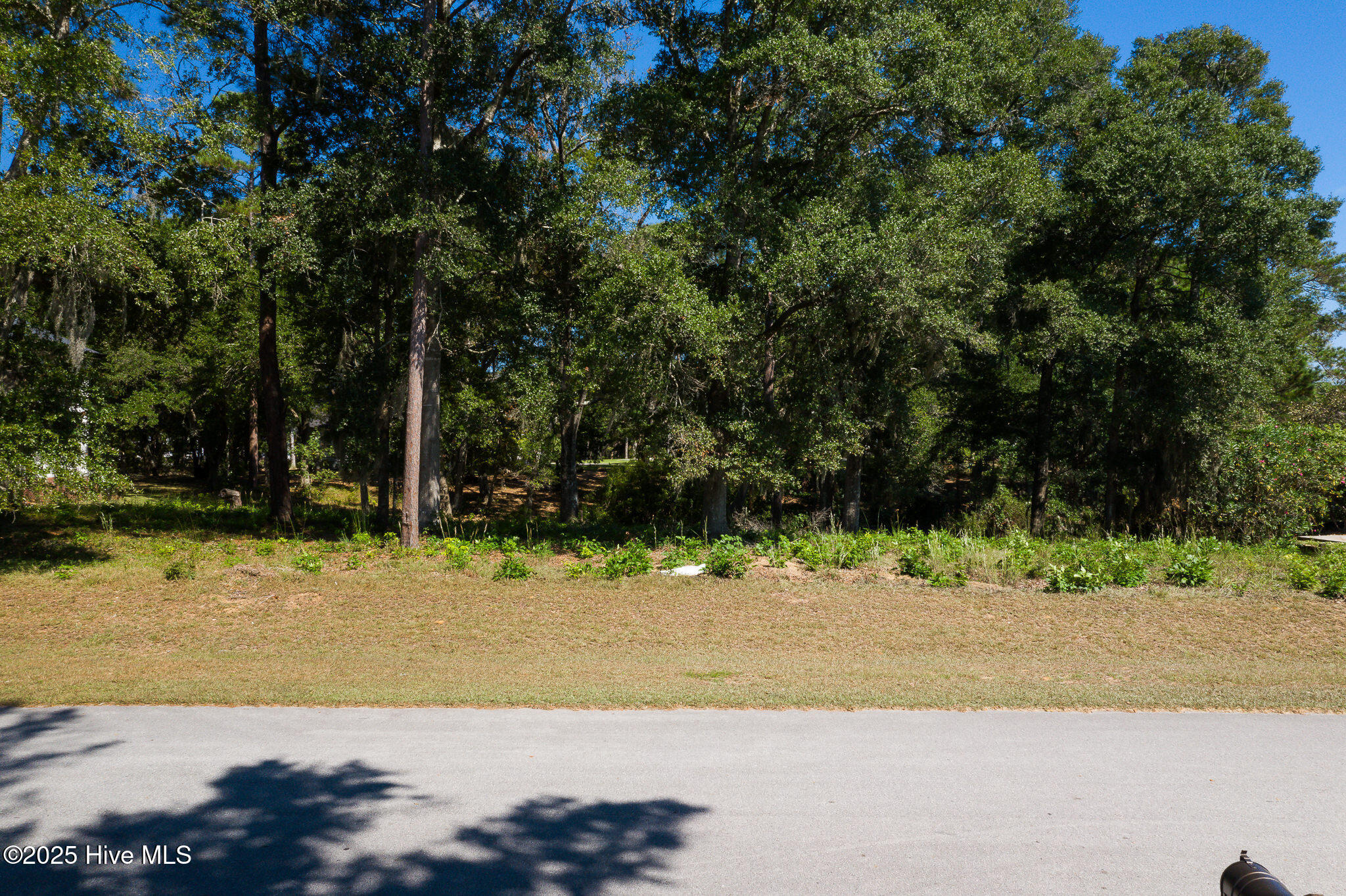 1884_Russellhewett-2