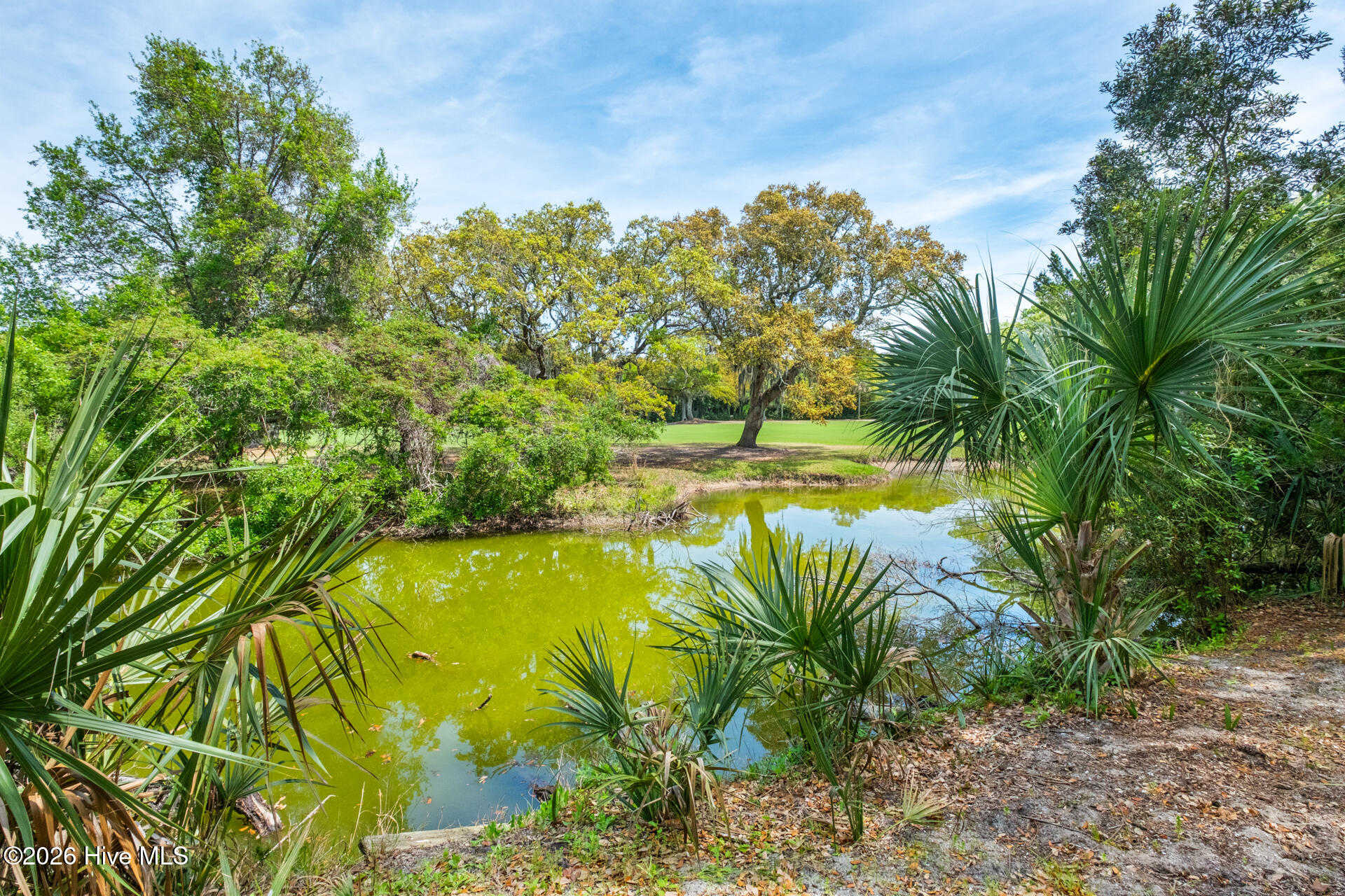 100567866 | Photo 44