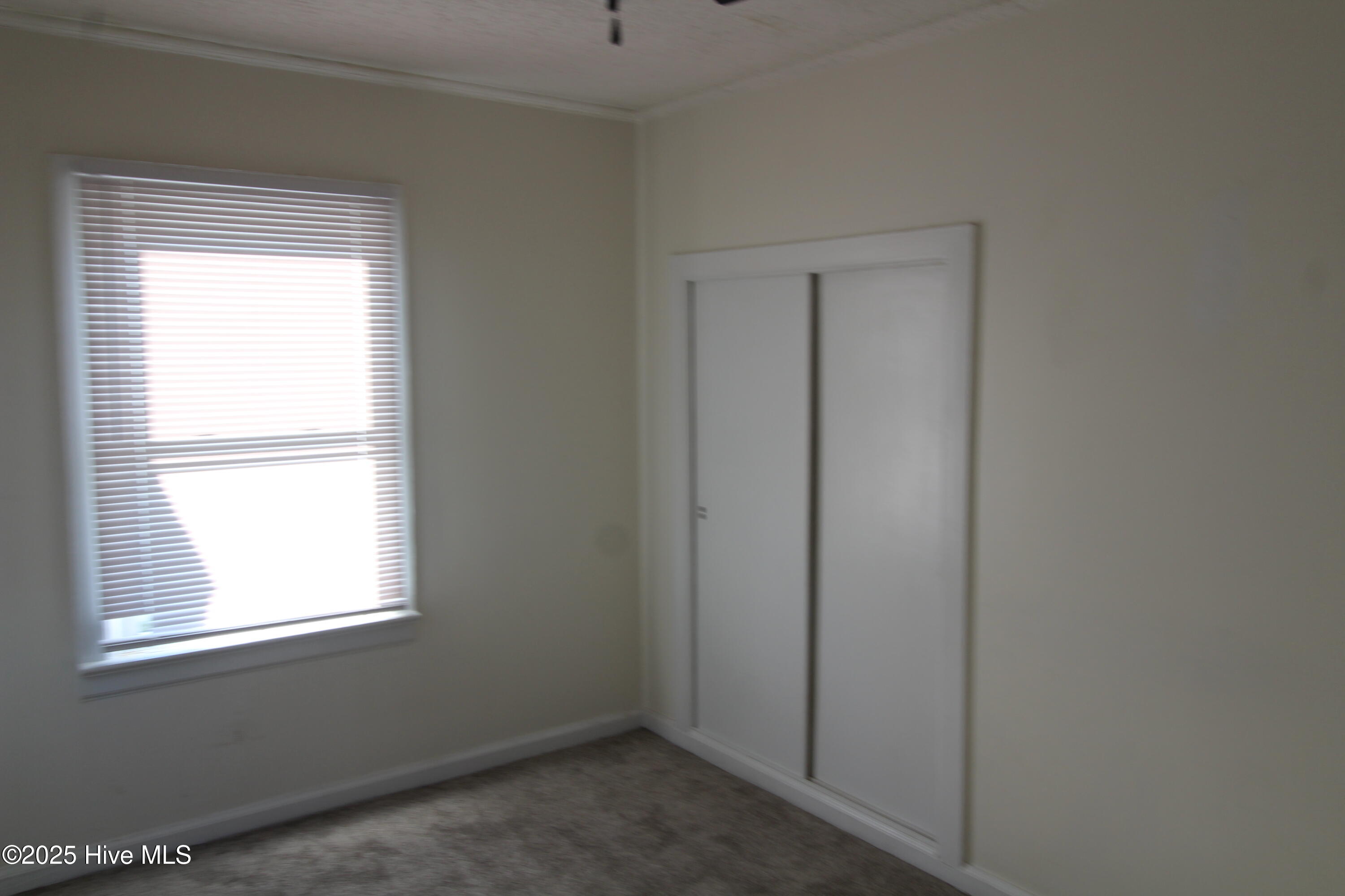 100539657 | Photo 15