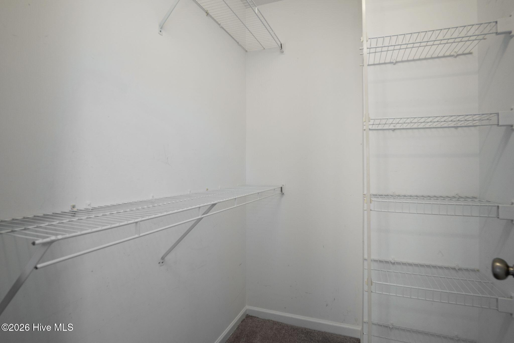 100569961 | Photo 29