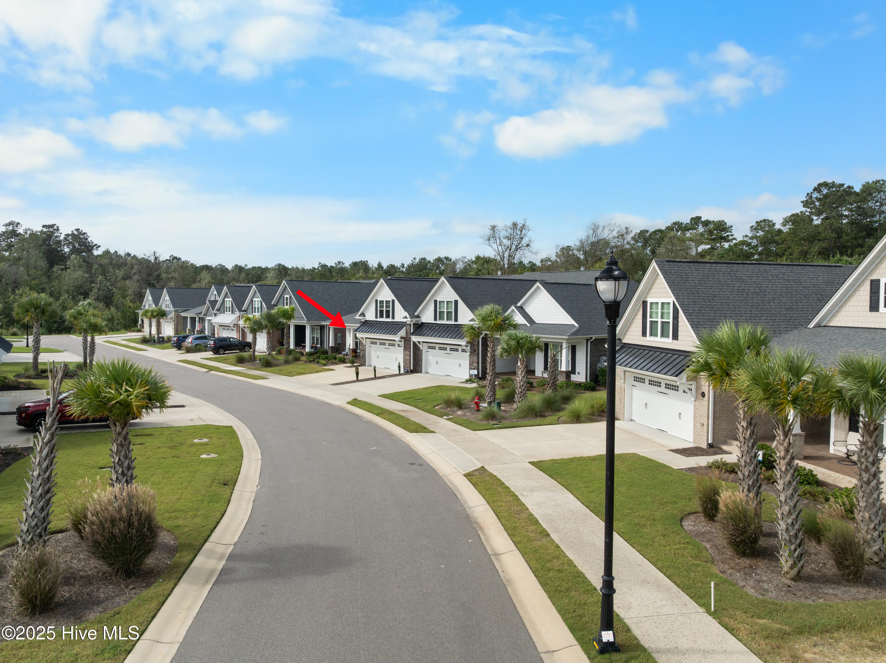 100536175 | Photo 61