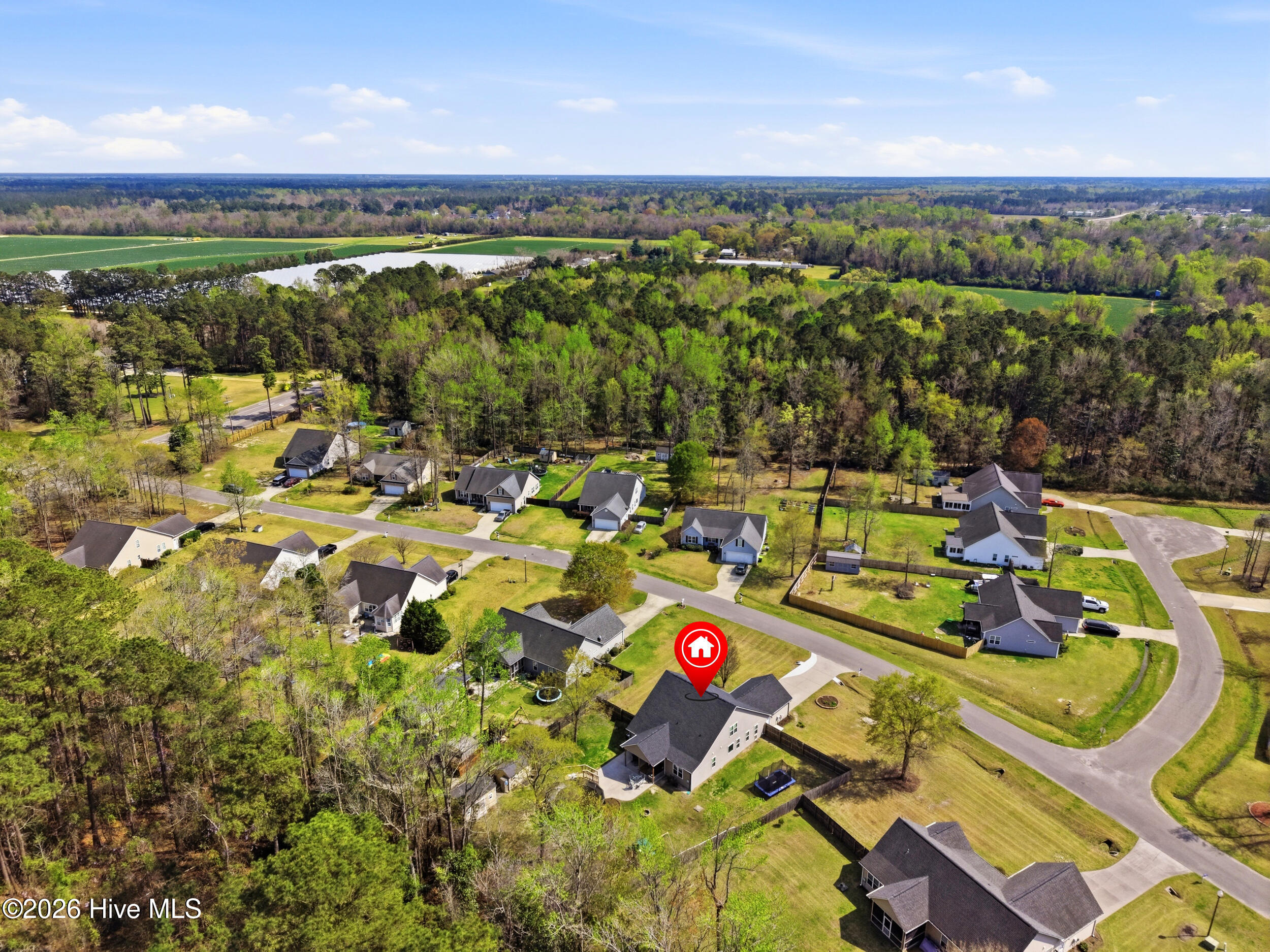 100562435 | Photo 44