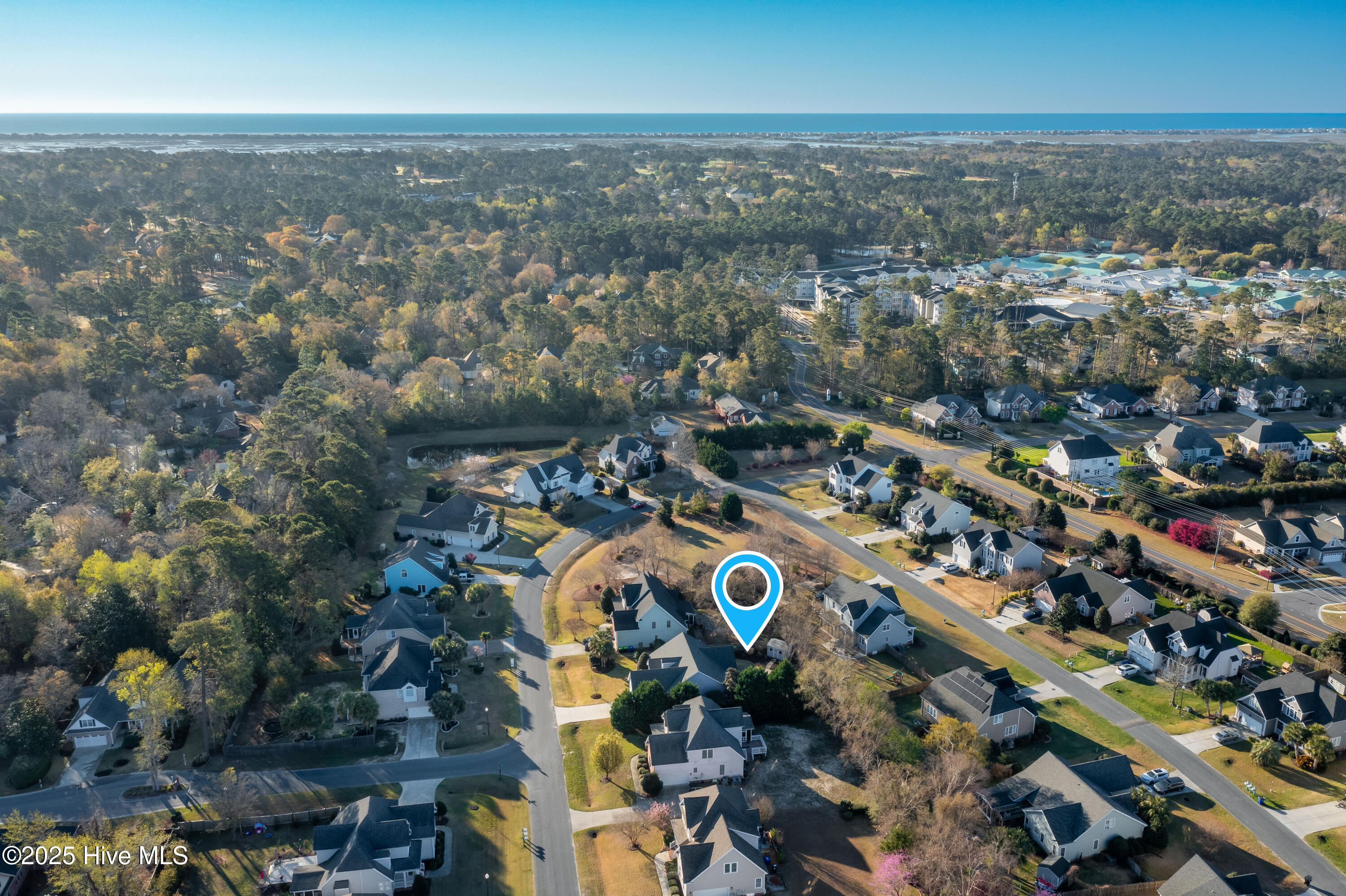 100497692 | Photo 51