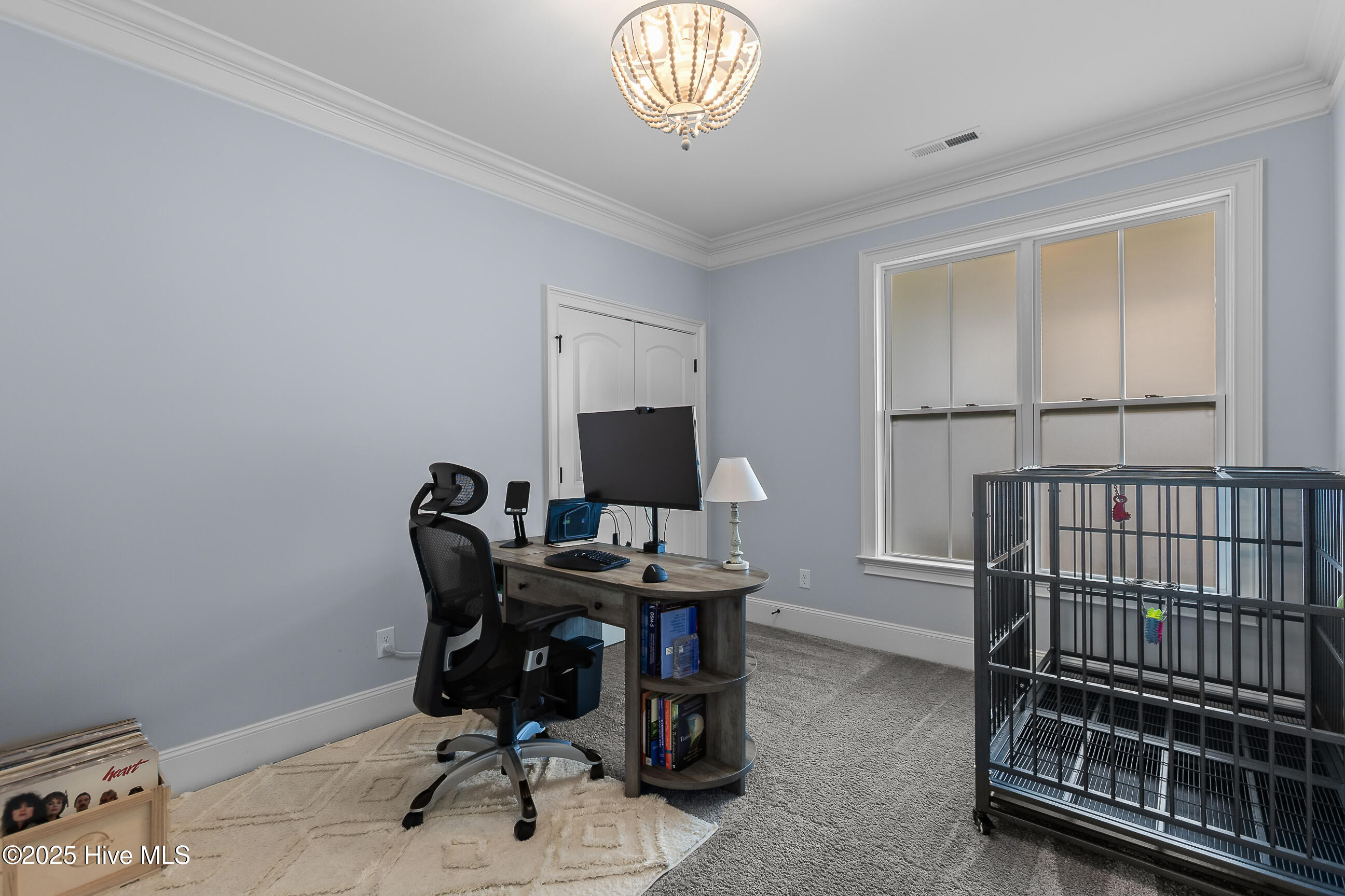 100536190 | Photo 23