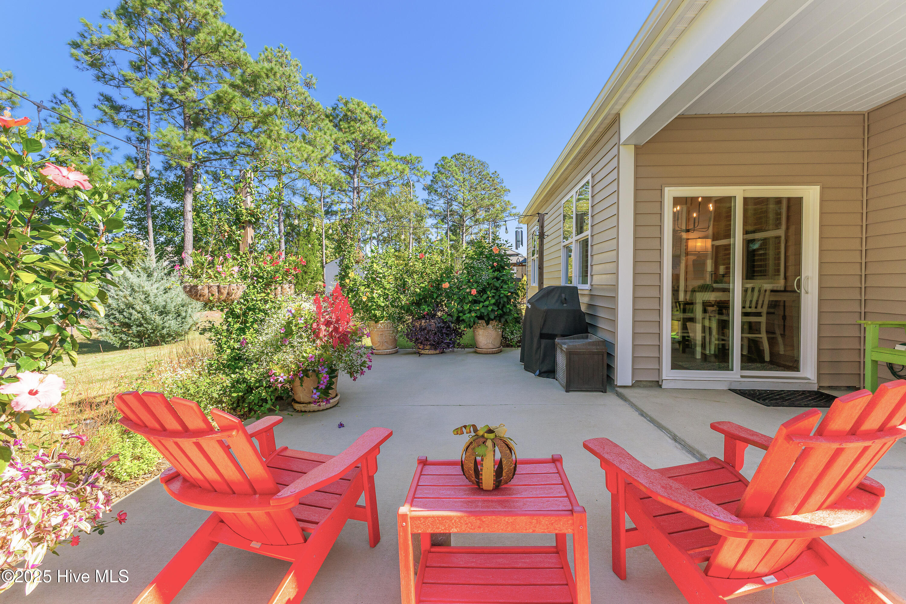 100537836 | Photo 36