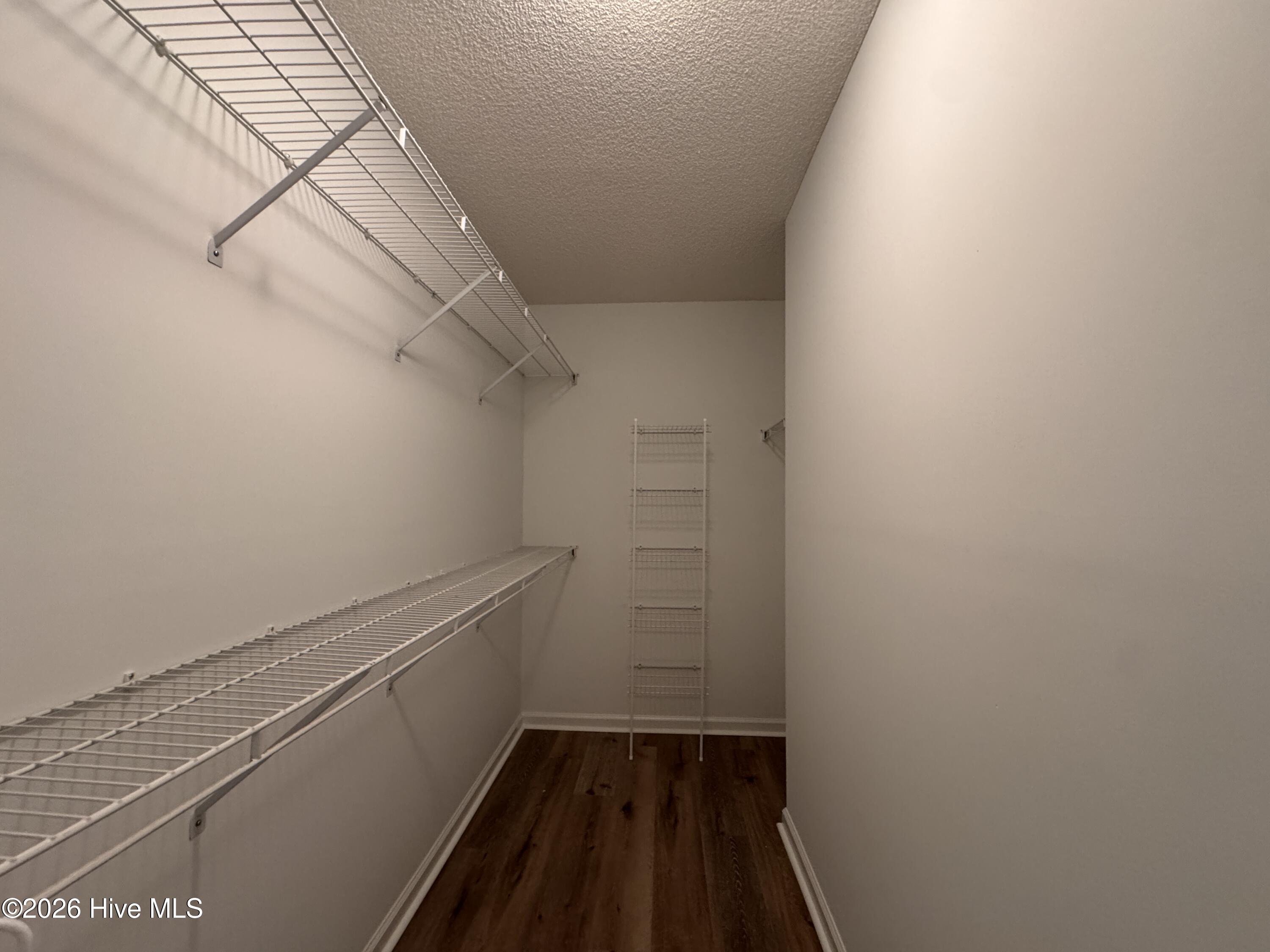 100556493 | Photo 12