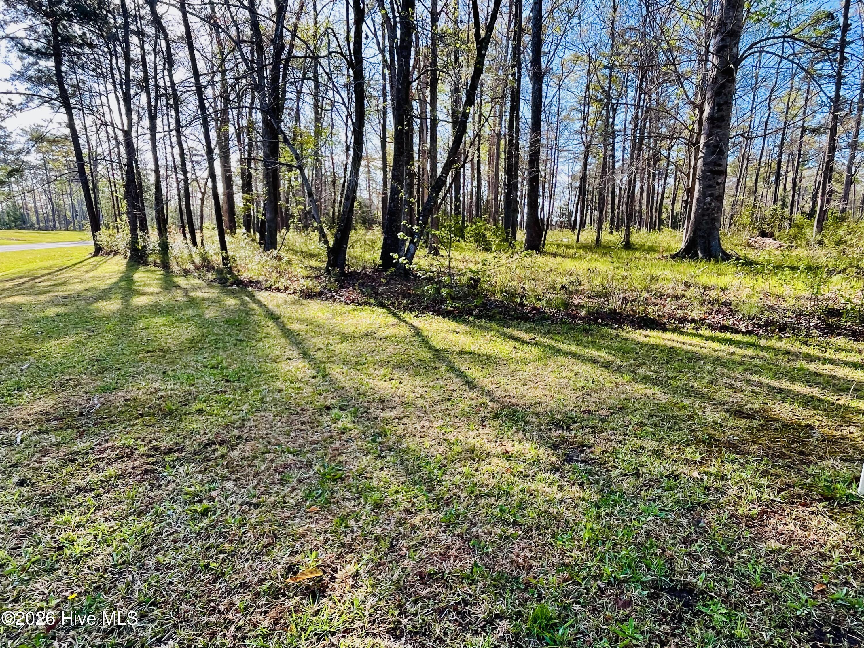 256 Winding Creek, Oriental, North Carolina, 0 ,Residential land,For sale,Winding Creek,100564733